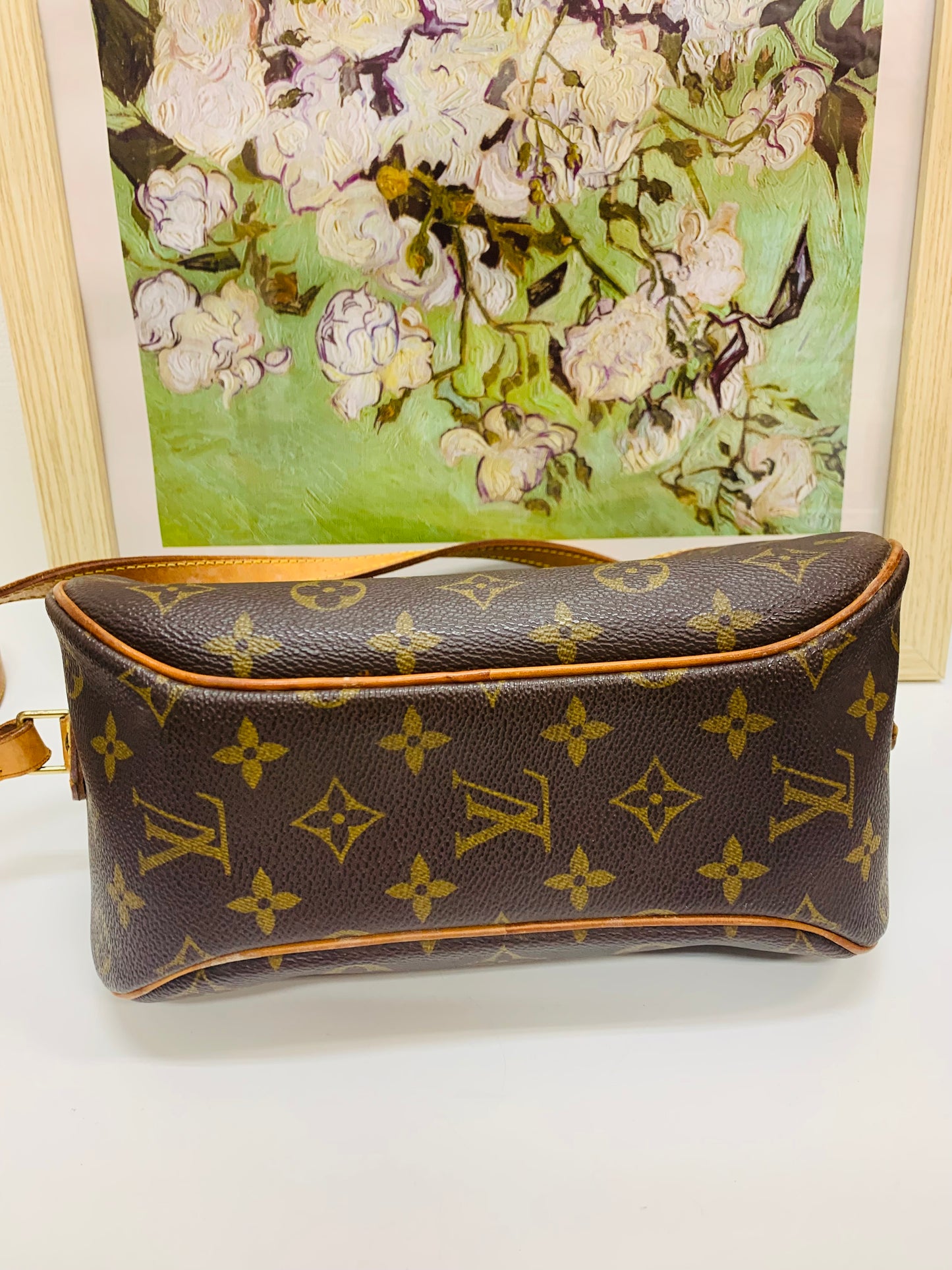 Louis Vuitton Blois Monogram