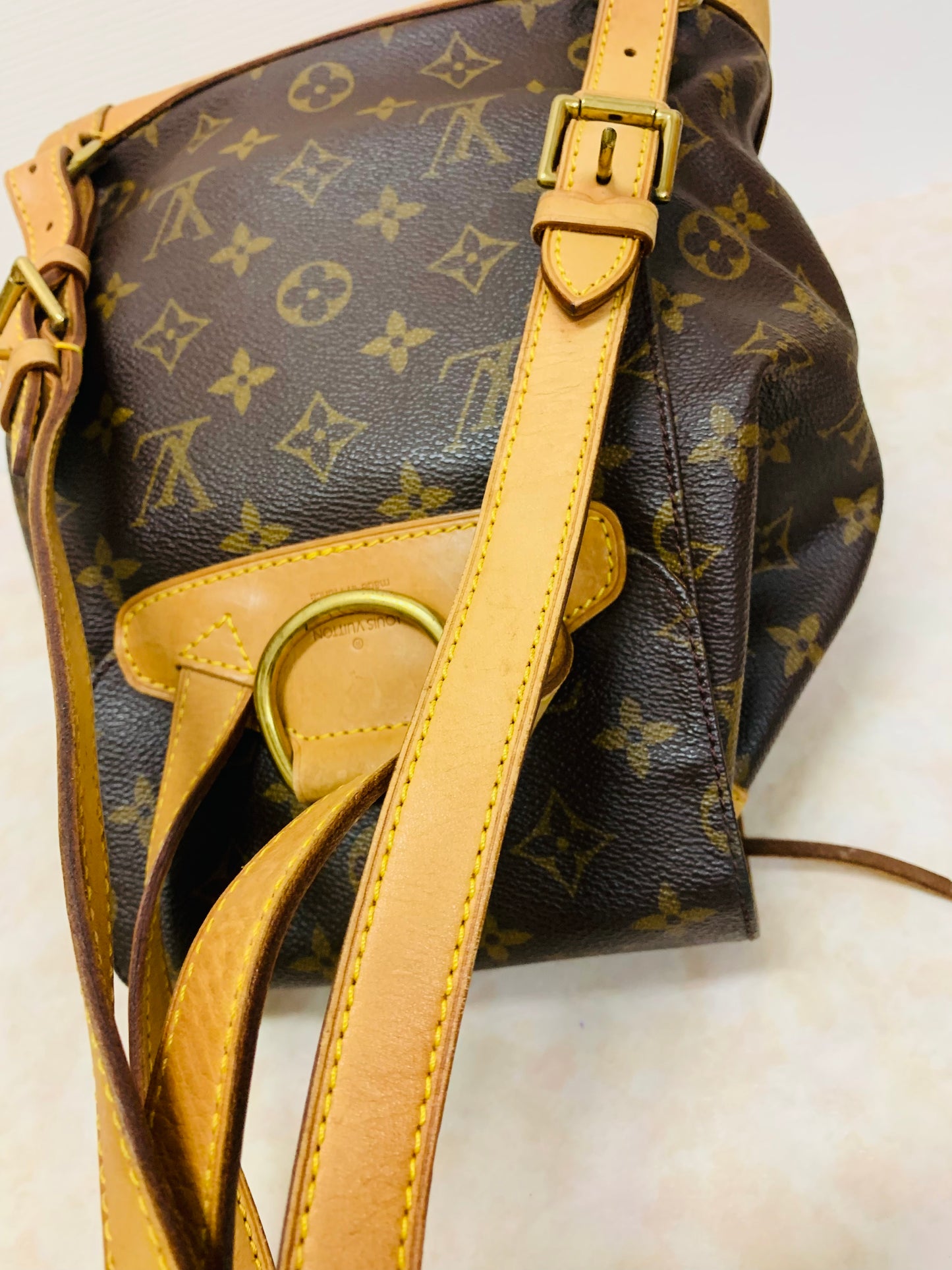 LOUIS VUITTON Montsouris MM Backpack