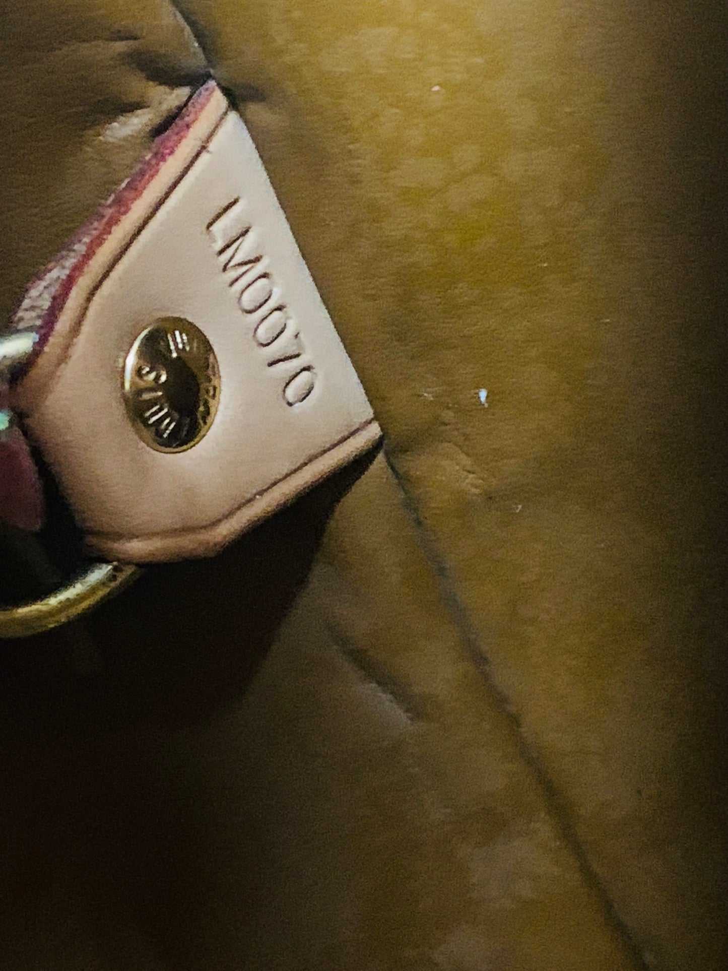 LOUIS VUITTON Vernis Houston Tote Bag