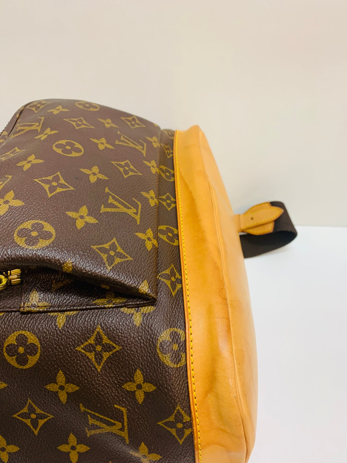 Louis Vuitton Montsouris GM