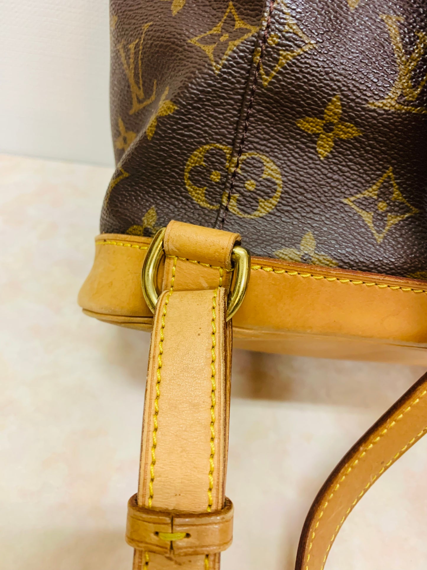 LOUIS VUITTON Montsouris MM Backpack