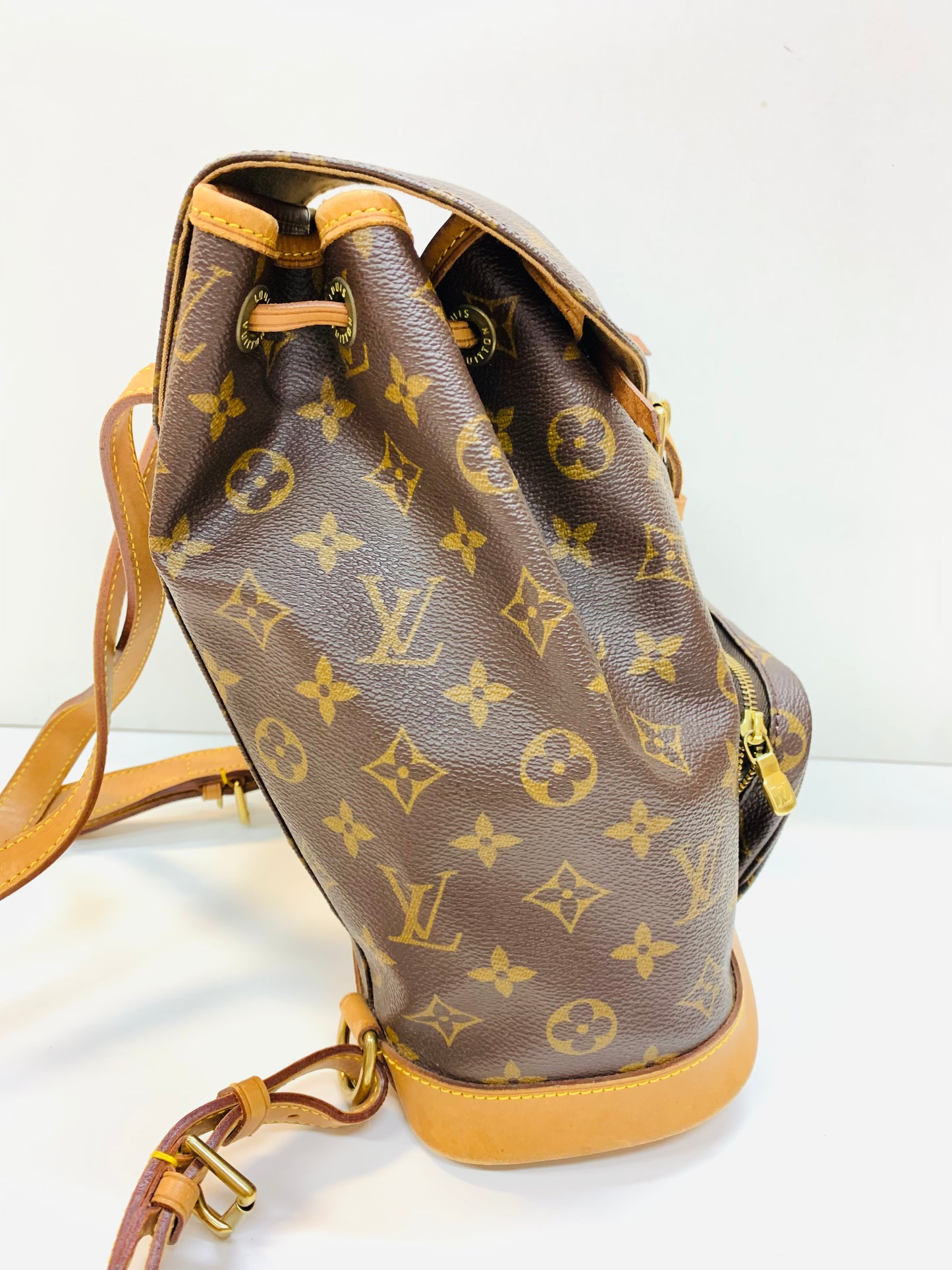 LOUIS VUITTON Montsouris MM Monogram