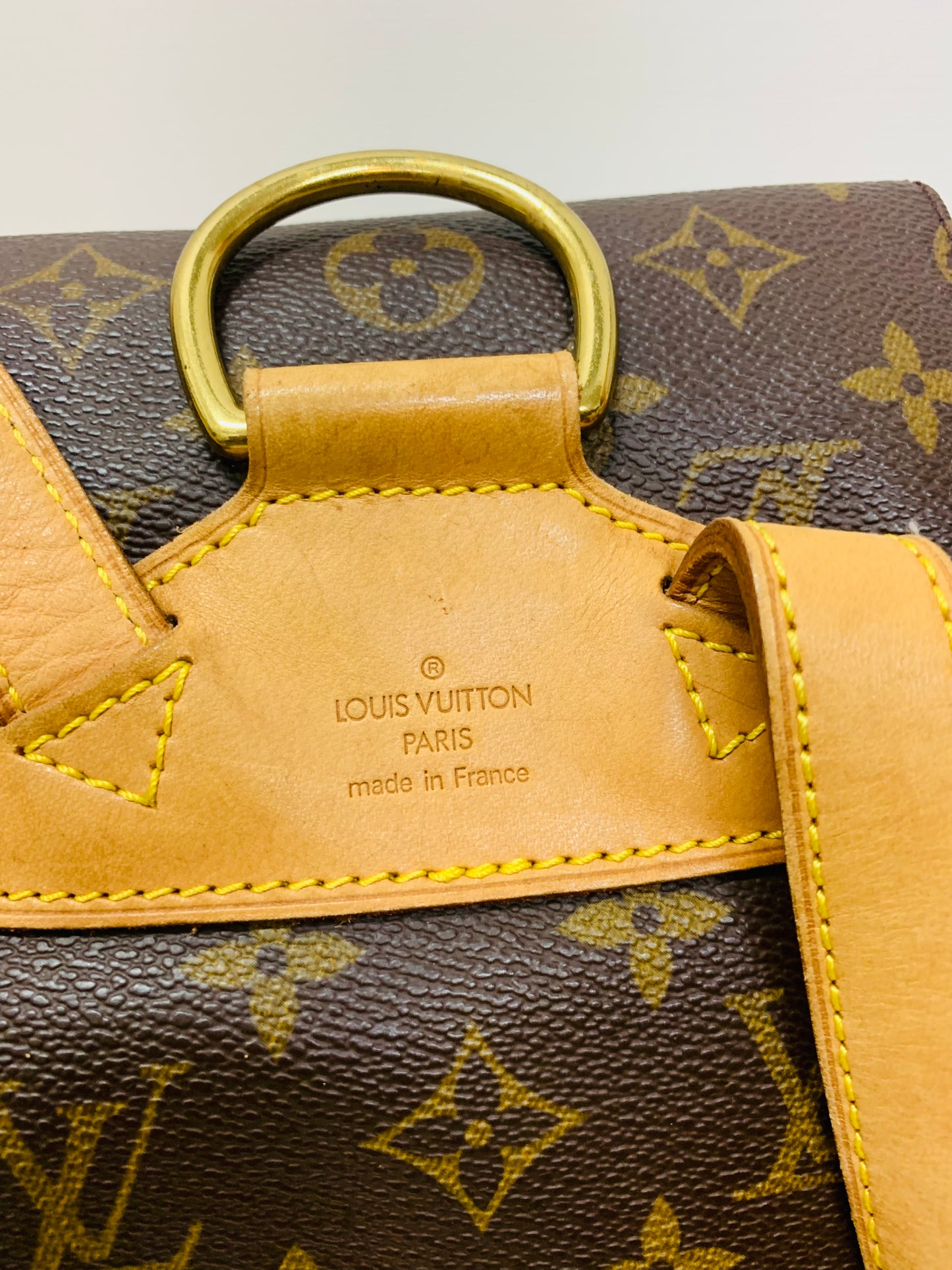 LOUIS VUITTON Montsouris MM Backpack