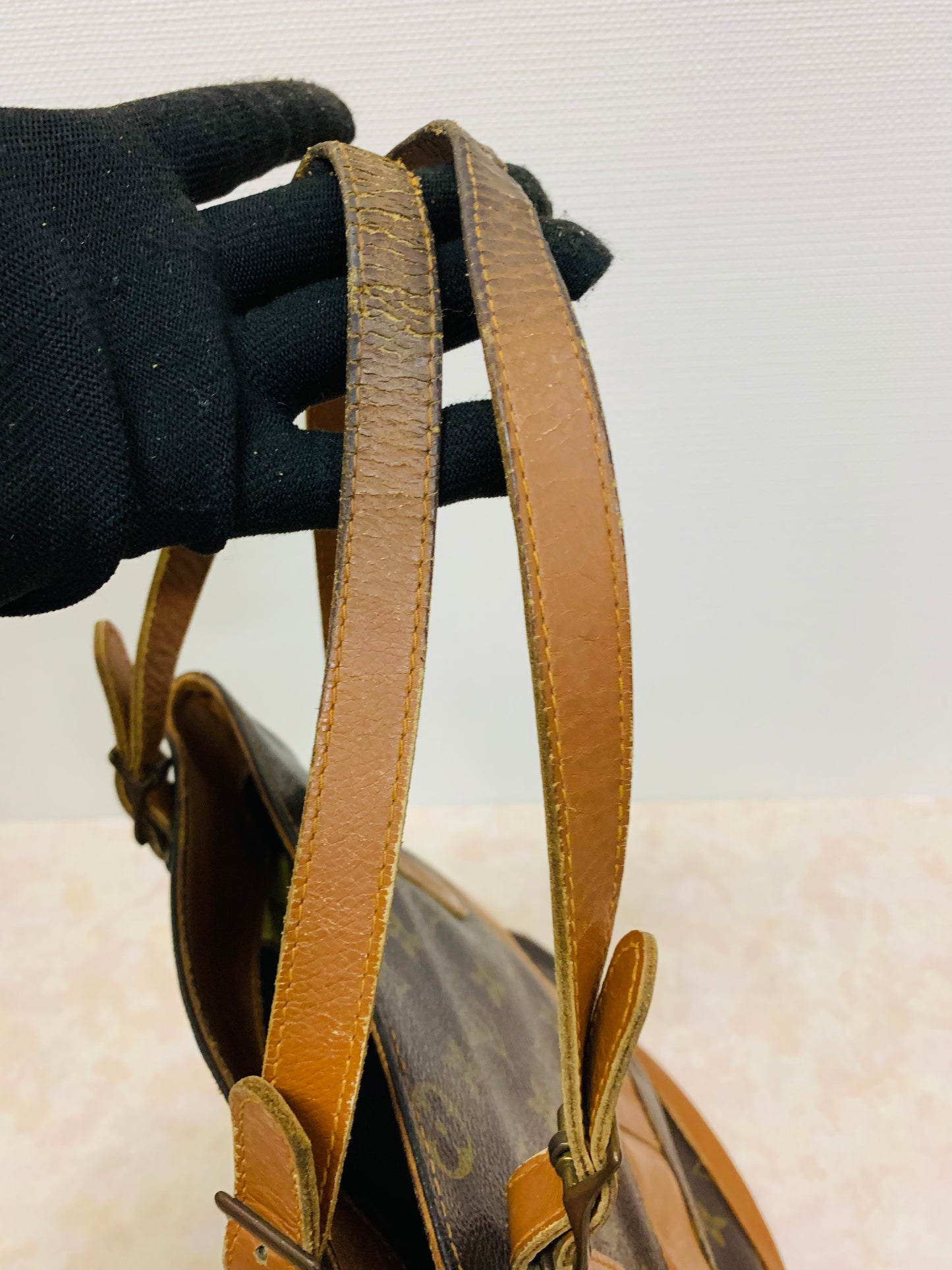 LOUIS VUITTON Bucket PM French &Co with Kiss lock pouch