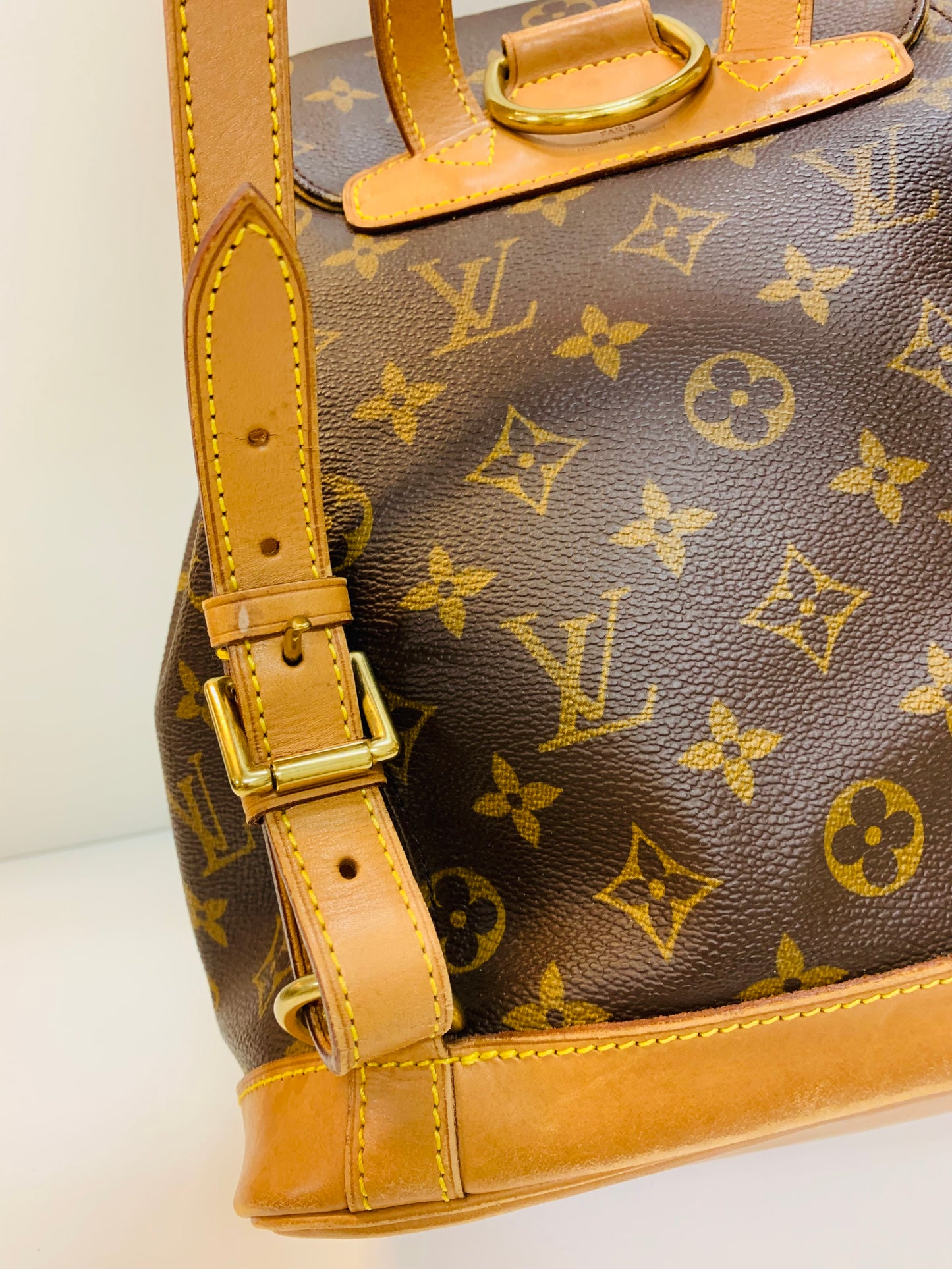 LOUIS VUITTON Montsouris MM Monogram