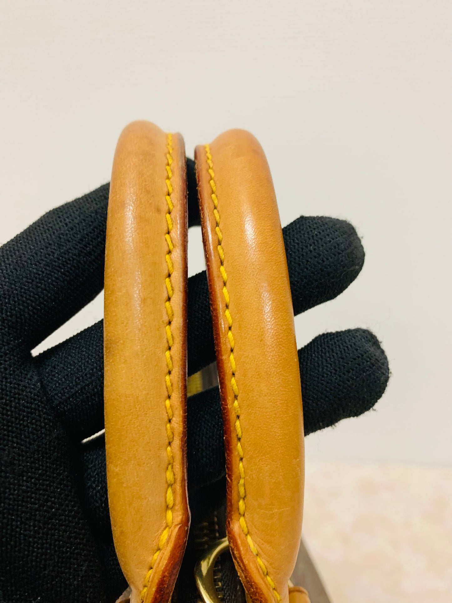 LOUIS VUITTON ALMA PM