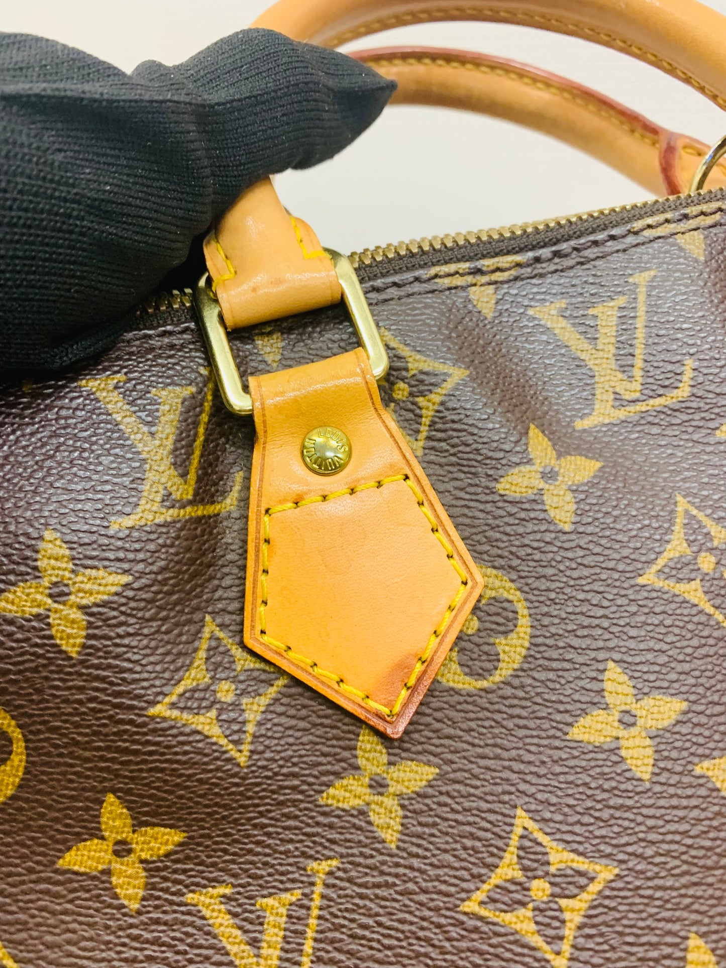 LOUIS VUITTON ALMA PM