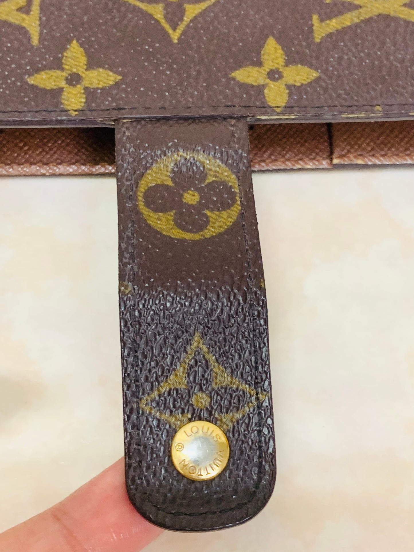 LOUIS VUITTON Agenda MM