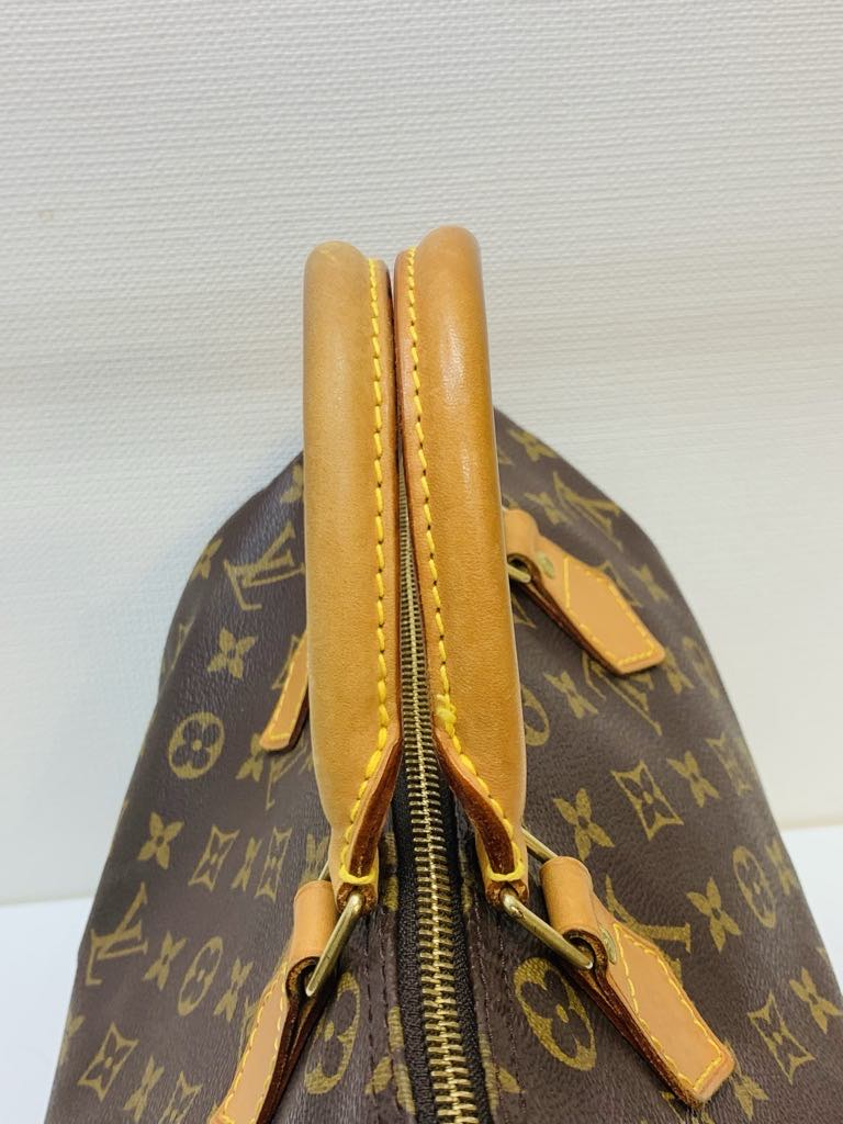 LOUIS VUITTON Speedy 30 Monogram