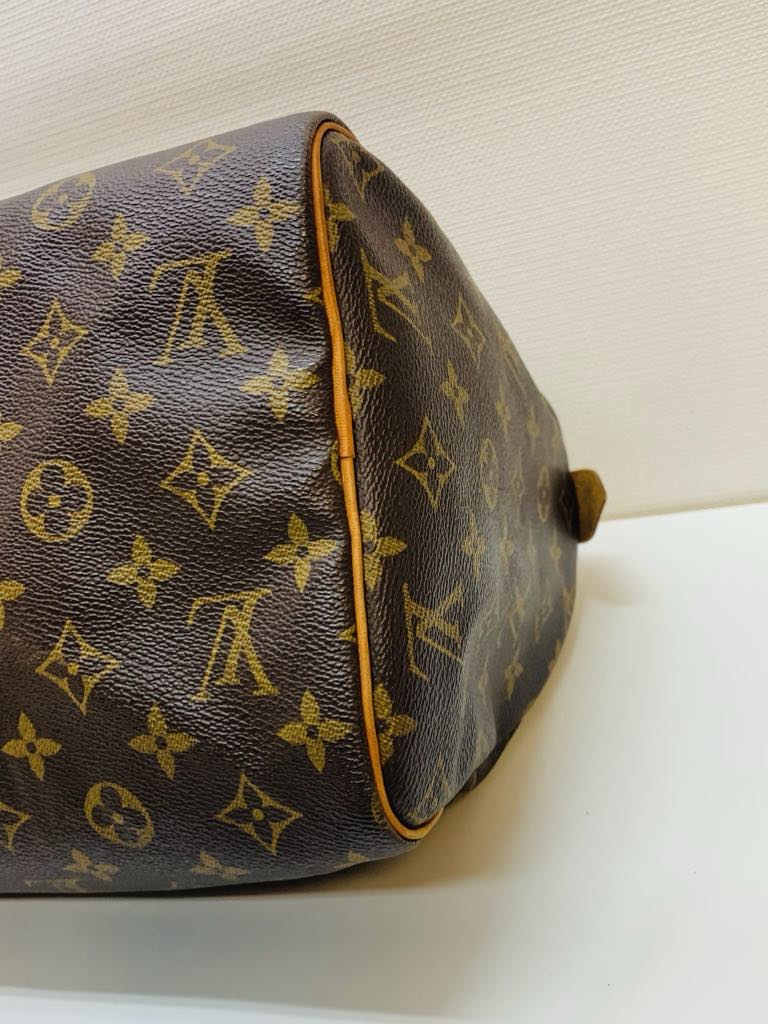 LOUIS VUITTON Speedy 30 Monogram