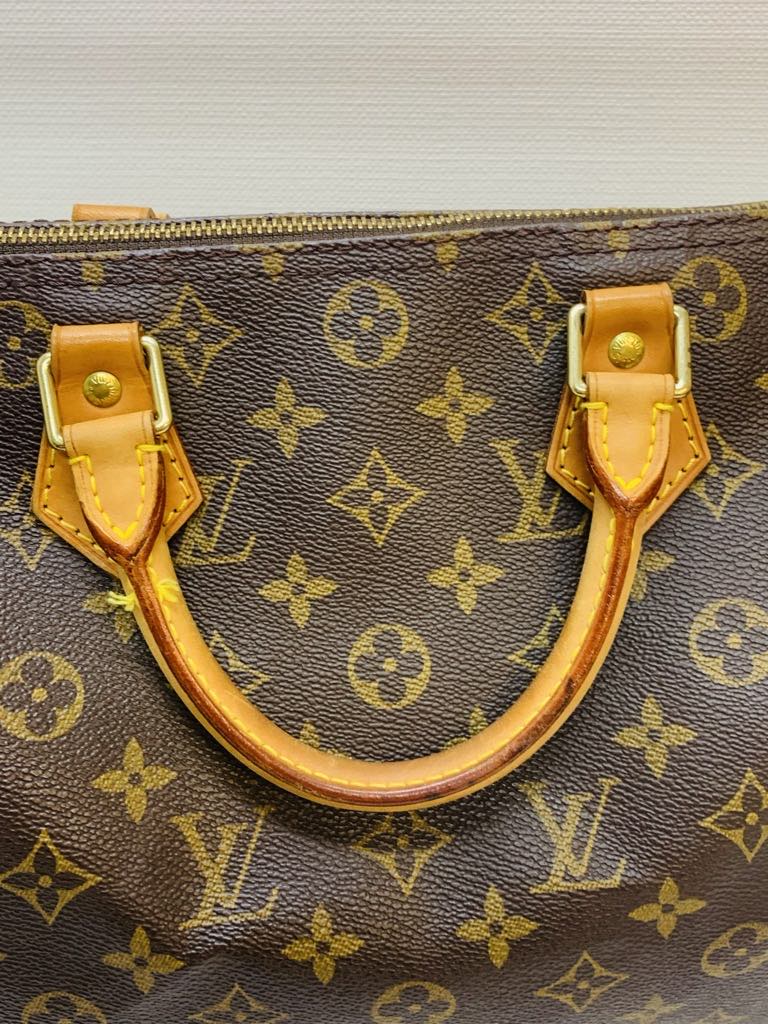 LOUIS VUITTON Speedy 30 Monogram