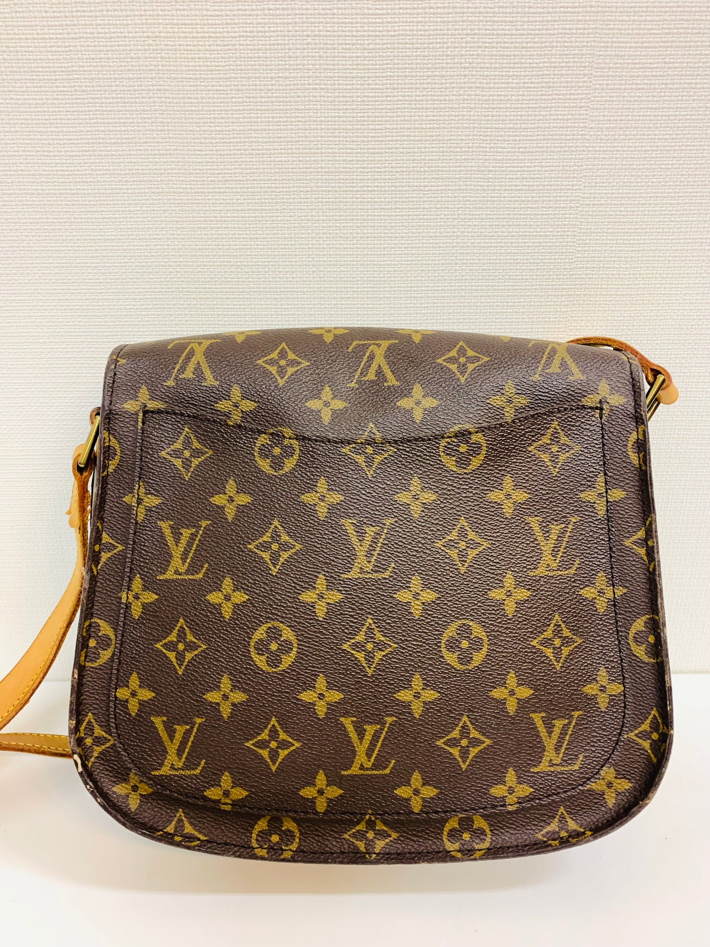 LOUIS VUITTON SAINT CLOUD GM