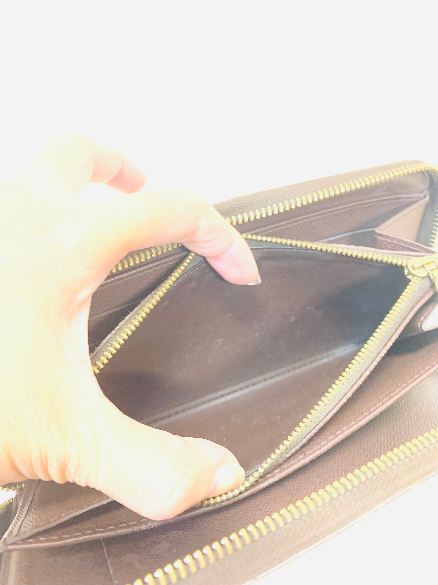 LOUIS VUITTON ZIPPY WALLET ORGANIZER