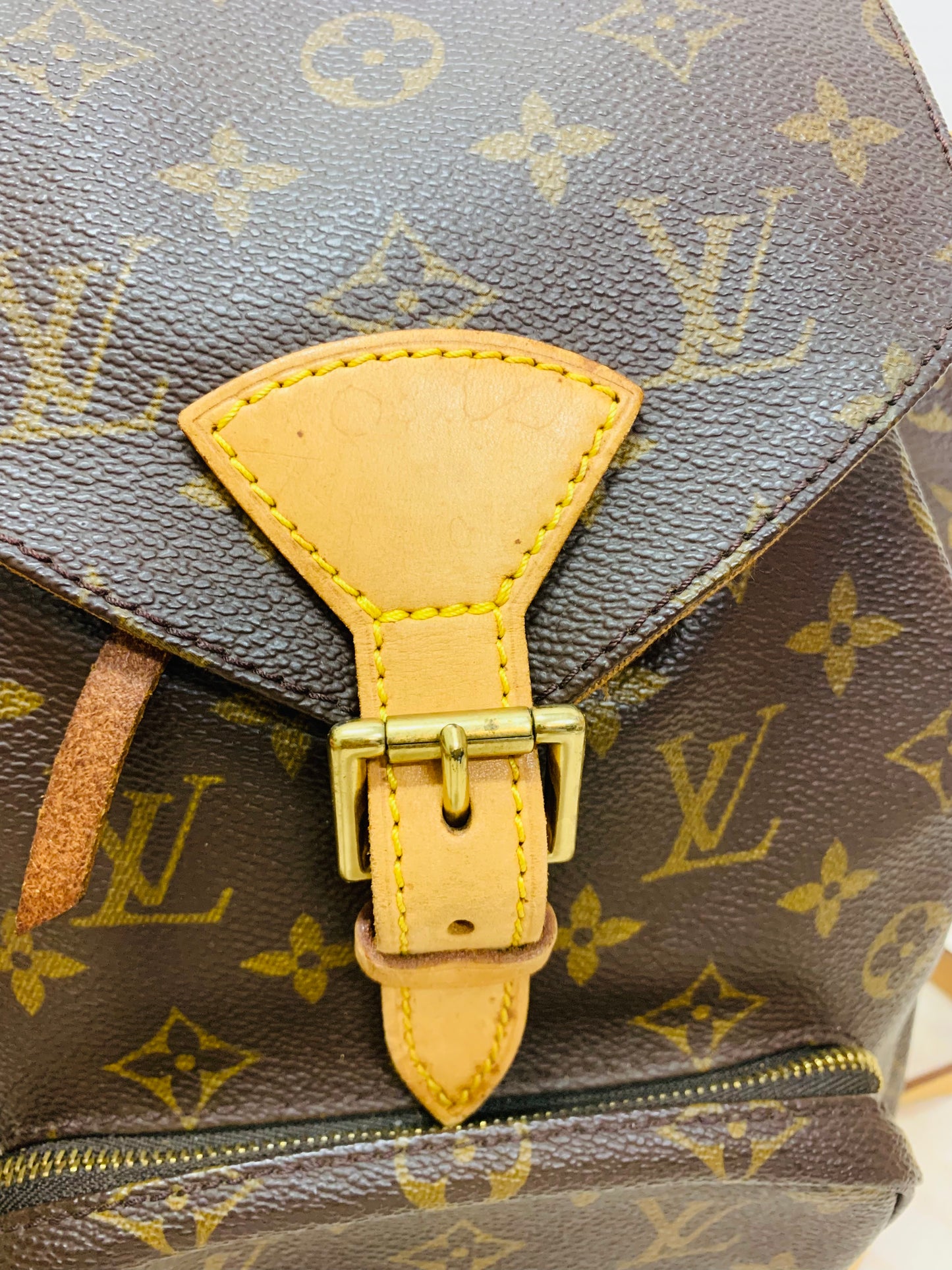 LOUIS VUITTON Montsouris MM Backpack