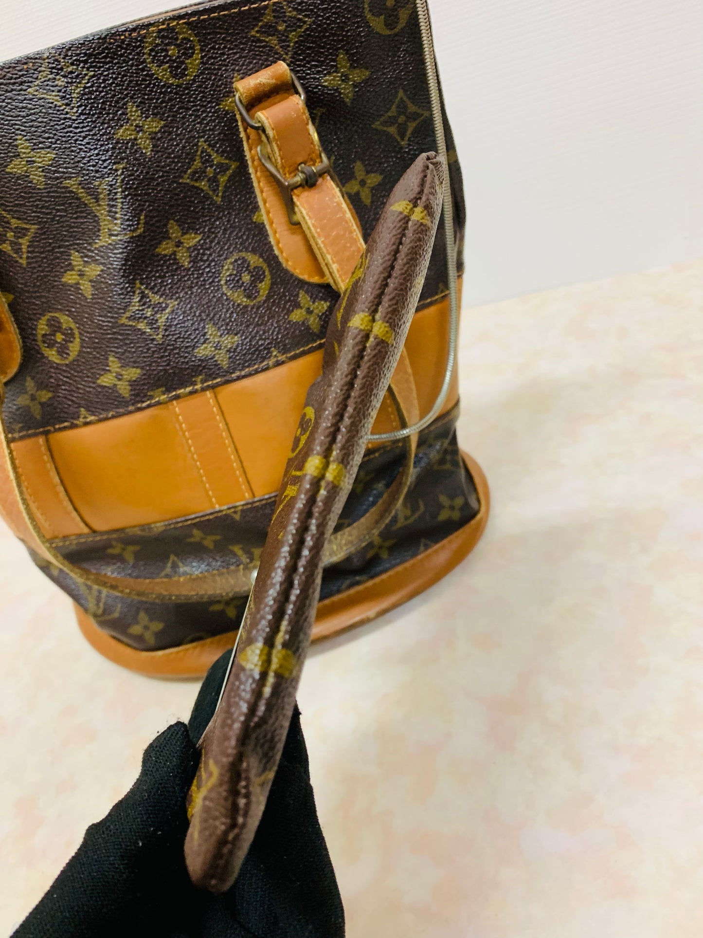 LOUIS VUITTON Bucket PM French &Co with Kiss lock pouch