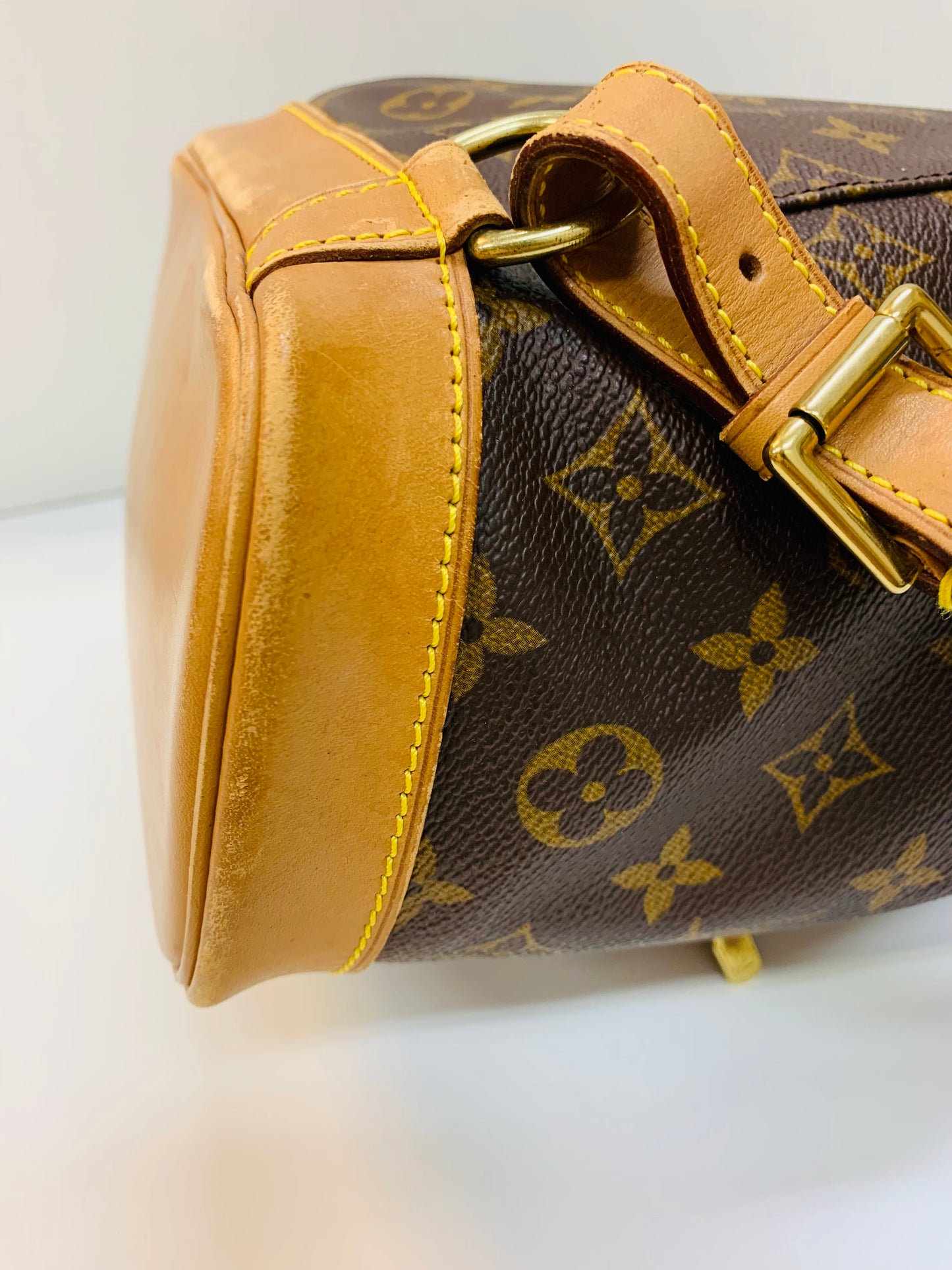 LOUIS VUITTON Montsouris MM Monogram
