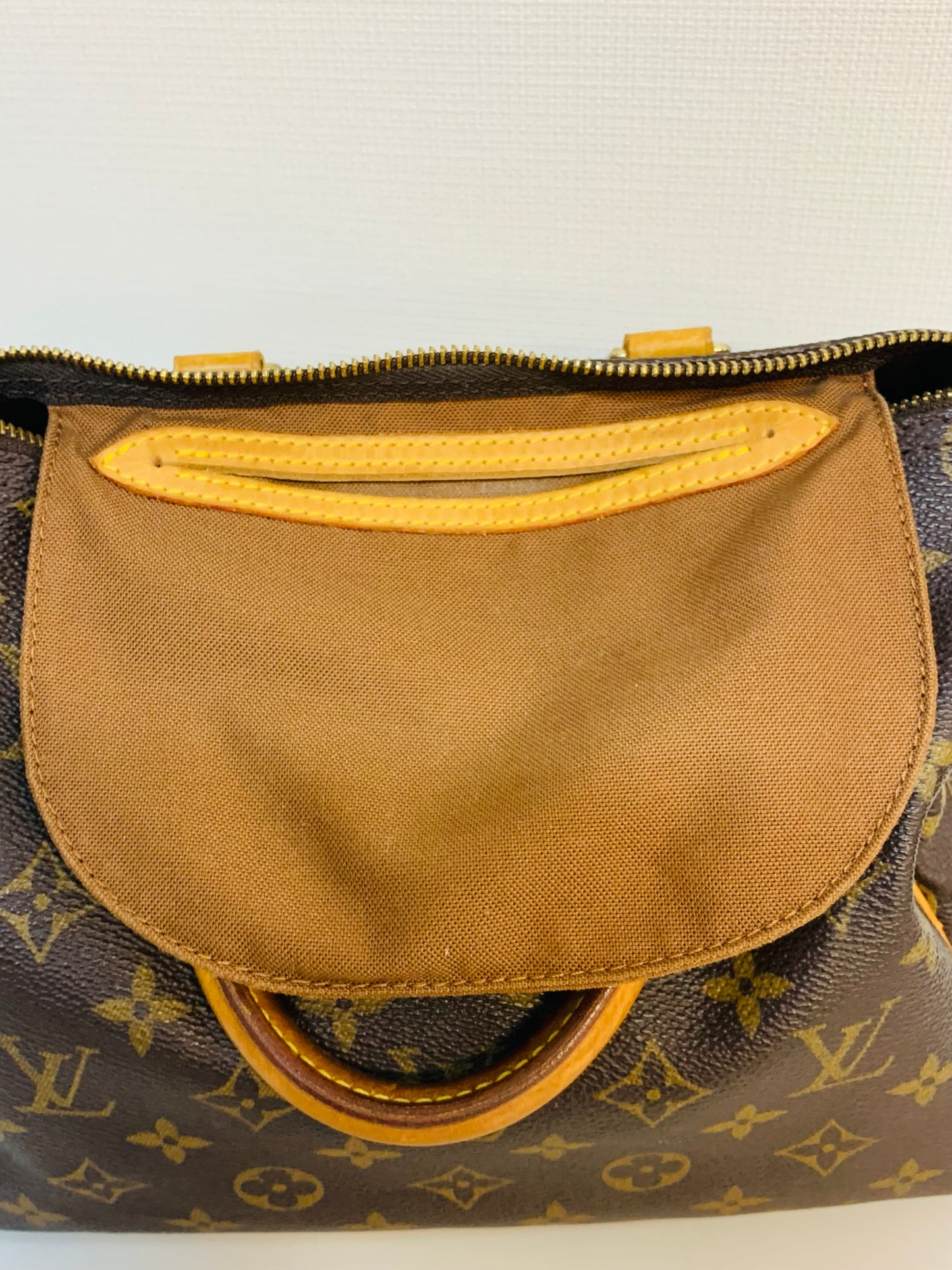 LOUIS VUITTON SPEEDY 25