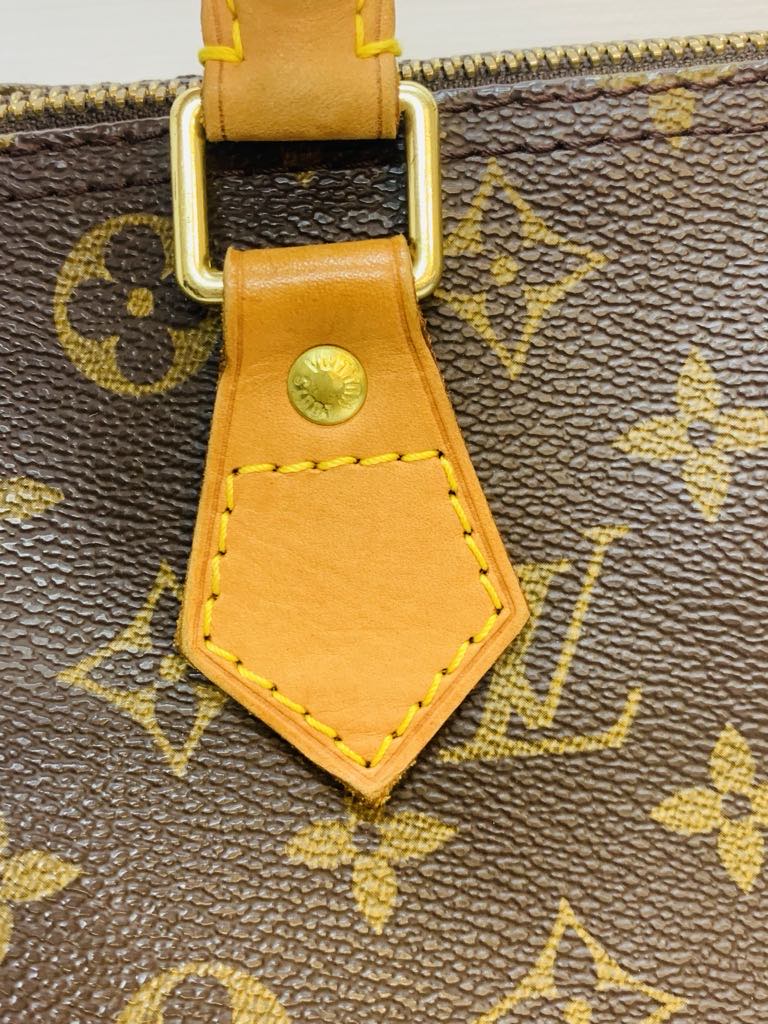 LOUIS VUITTON Speedy 30 Monogram