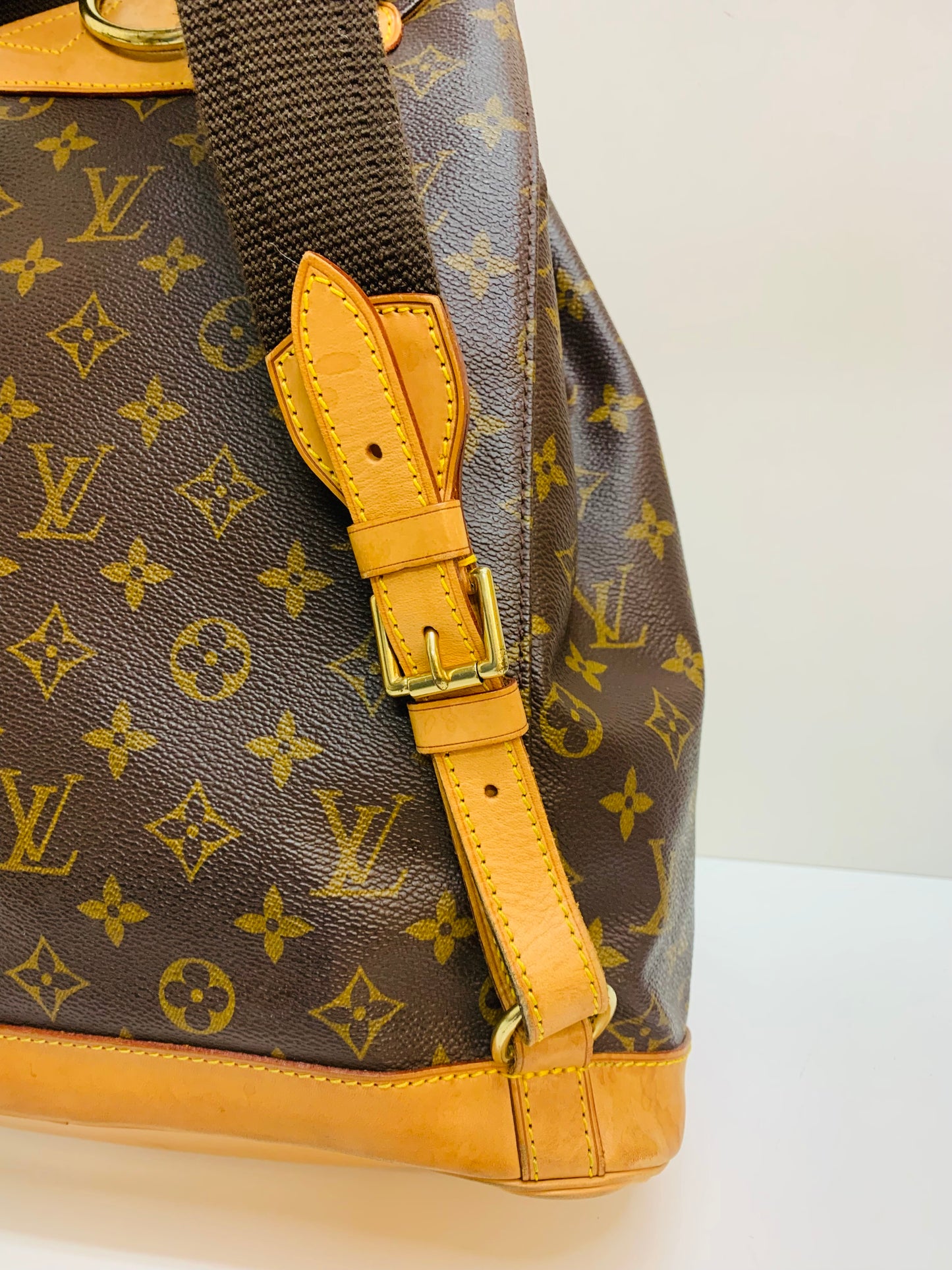 Louis Vuitton Montsouris GM