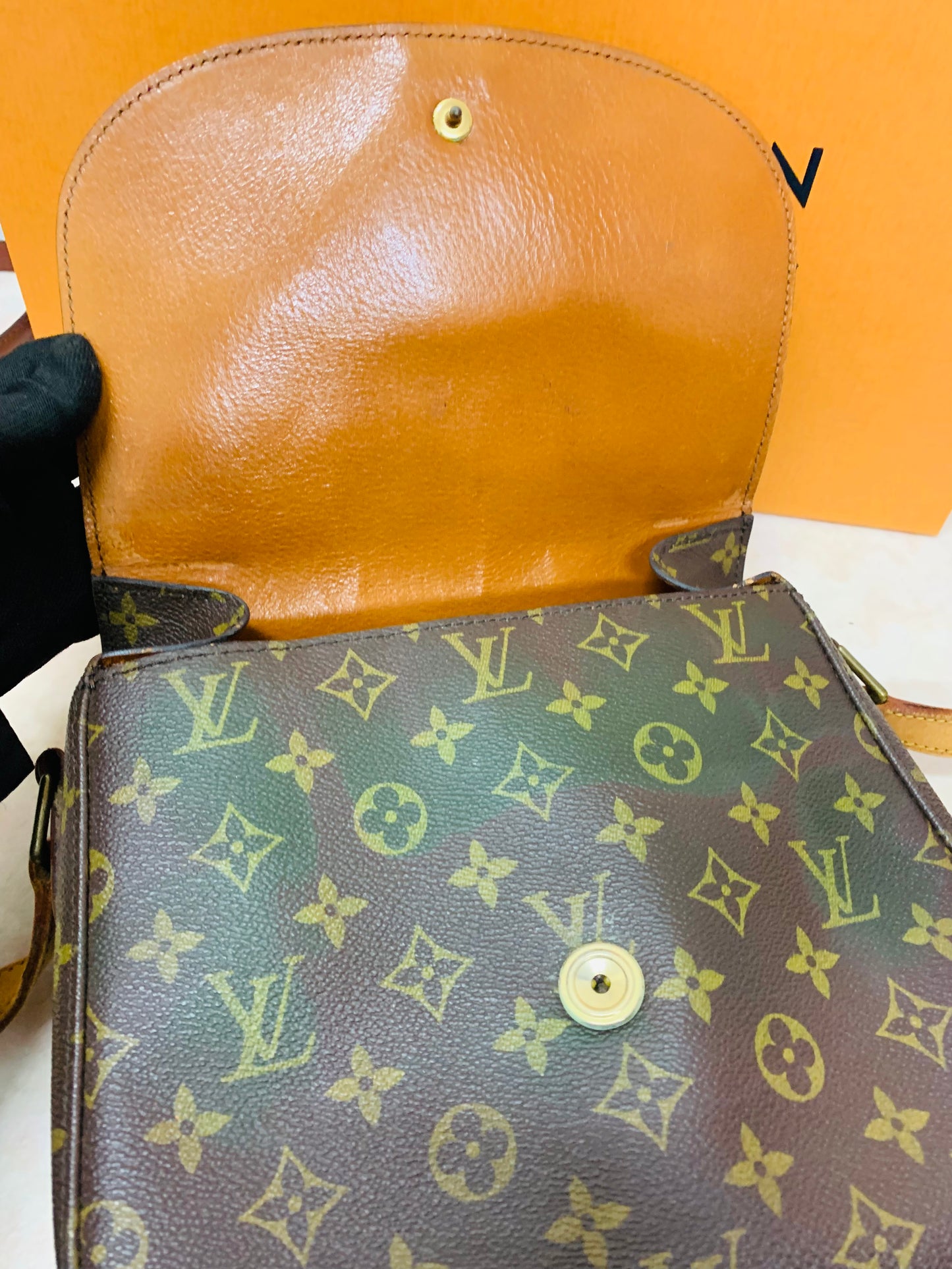 LOUIS VUITTON SAINT CLOUD GM