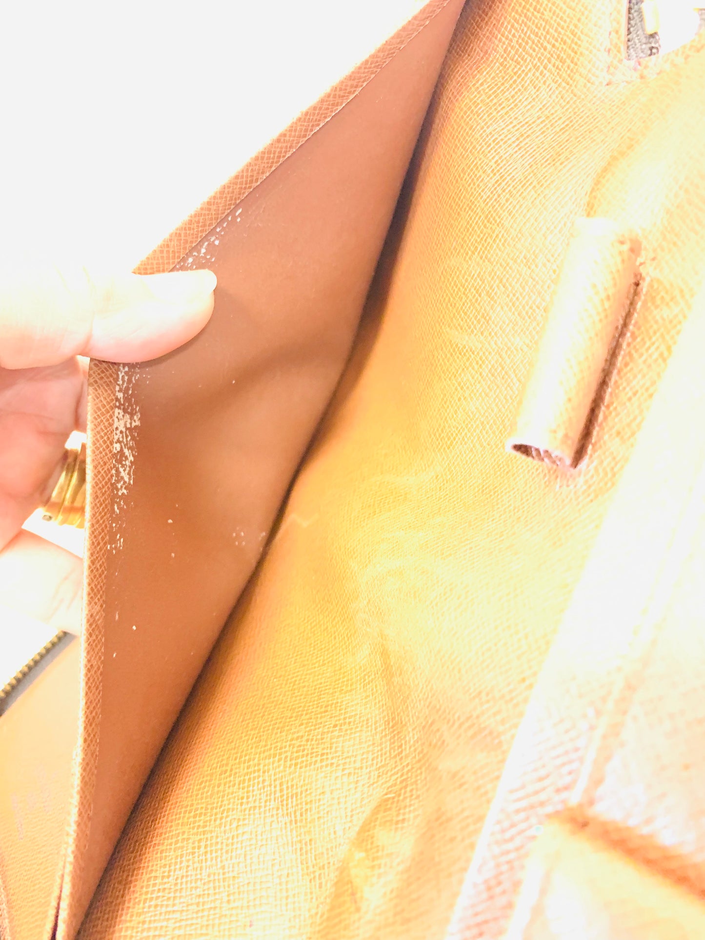 LOUIS VUITTON TRAVEL ORGANIZER