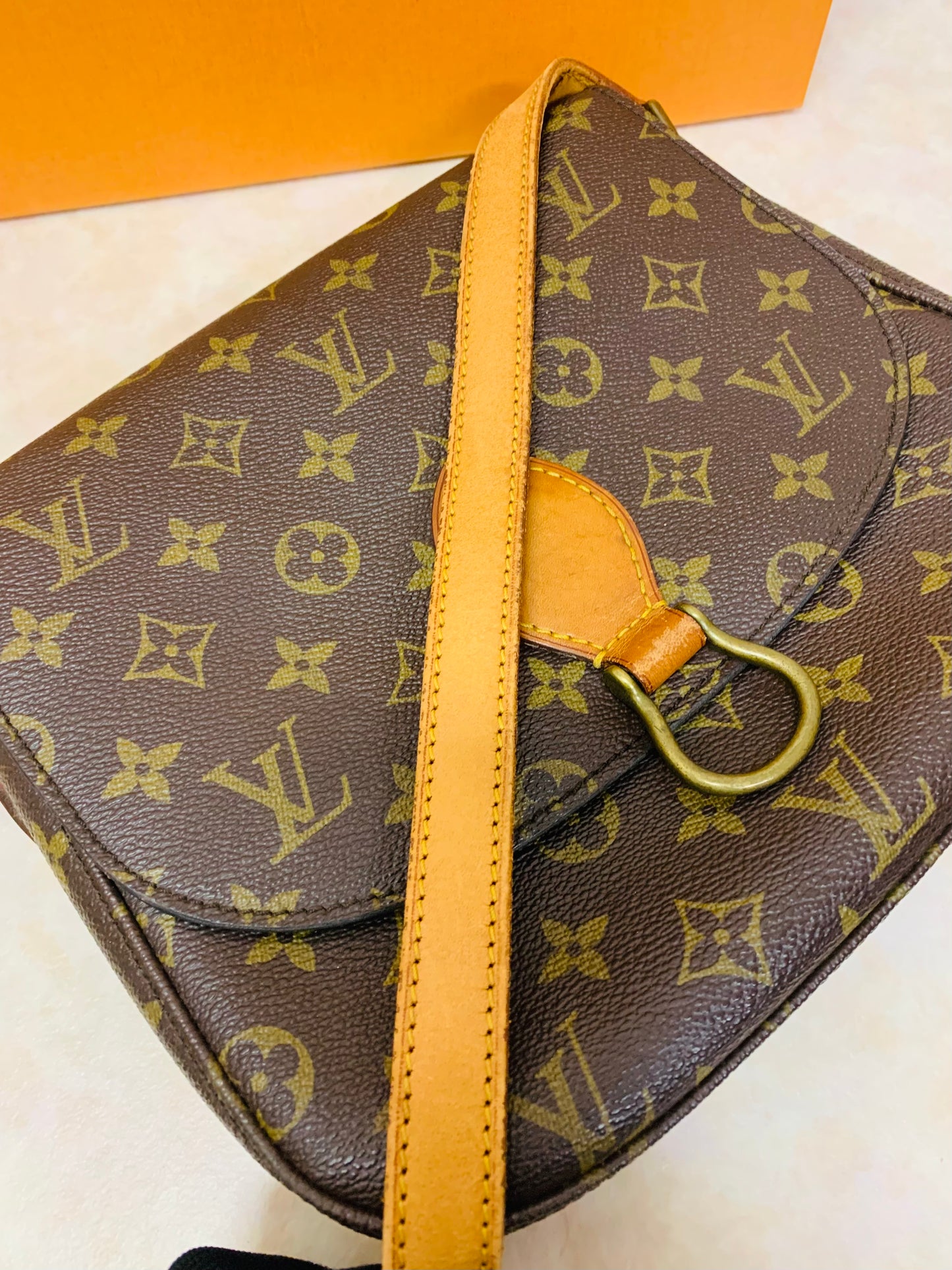 LOUIS VUITTON SAINT CLOUD GM