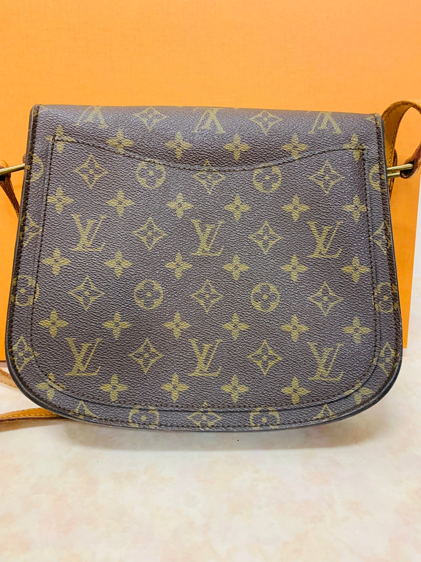 LOUIS VUITTON SAINT CLOUD GM