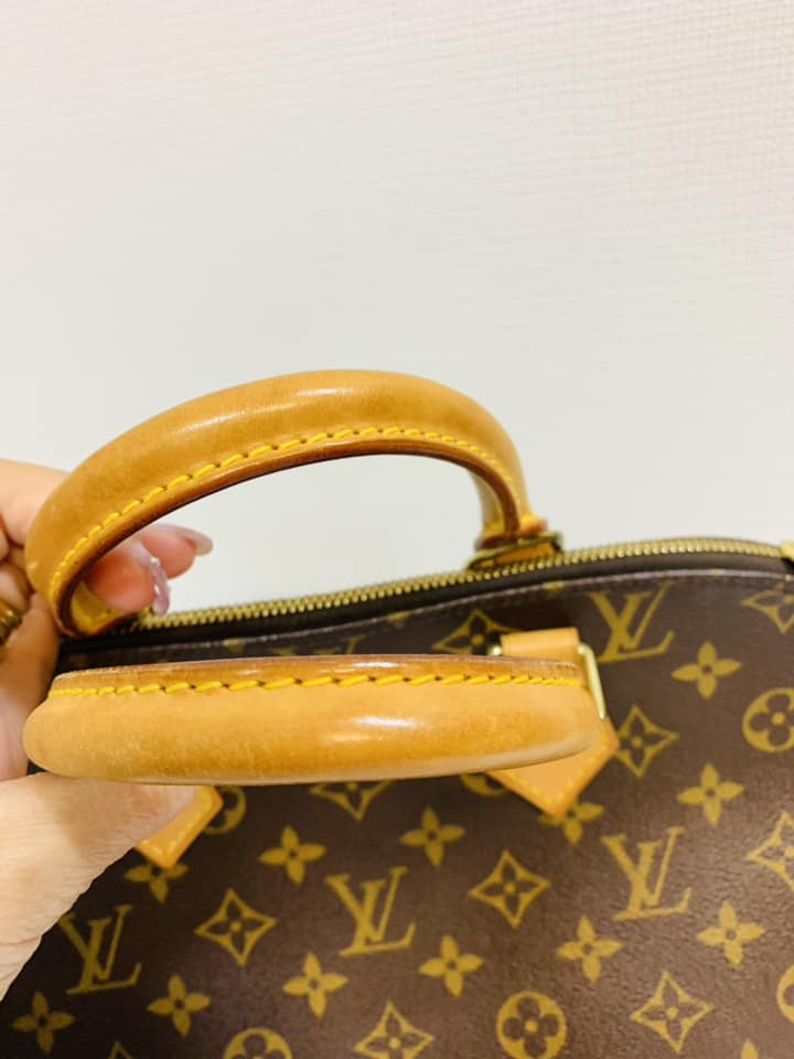 LOUIS VUITTON ALMA PM