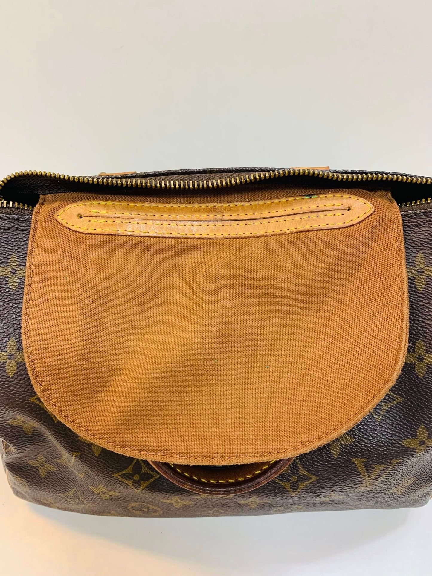 Louis Vuitton Speedy 25