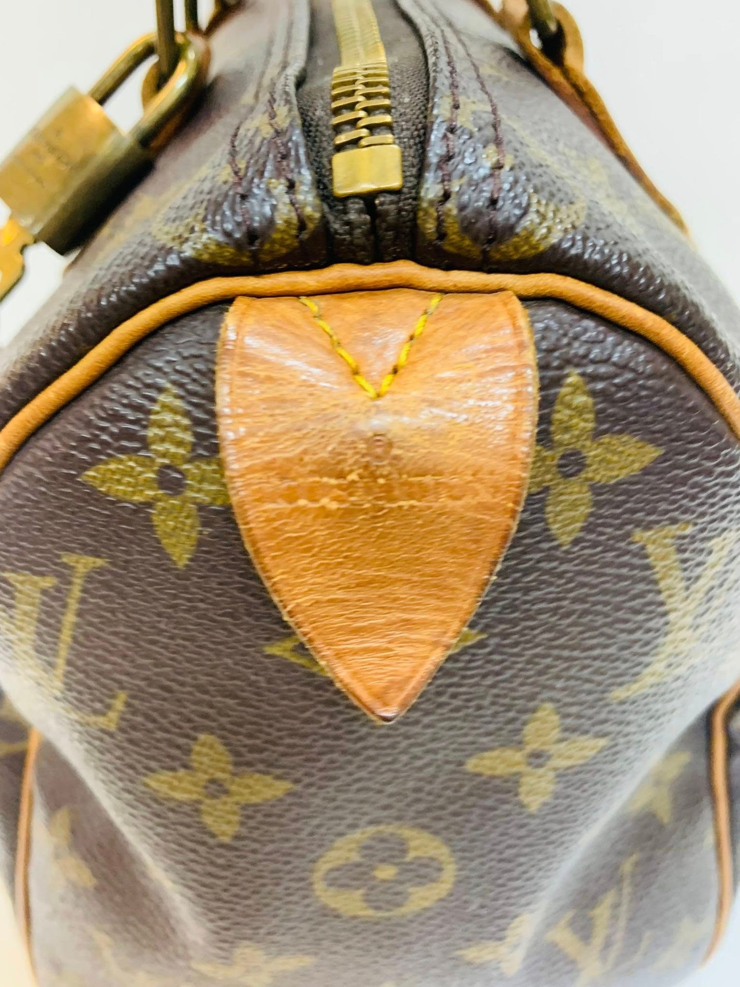 Louis Vuitton Speedy 25