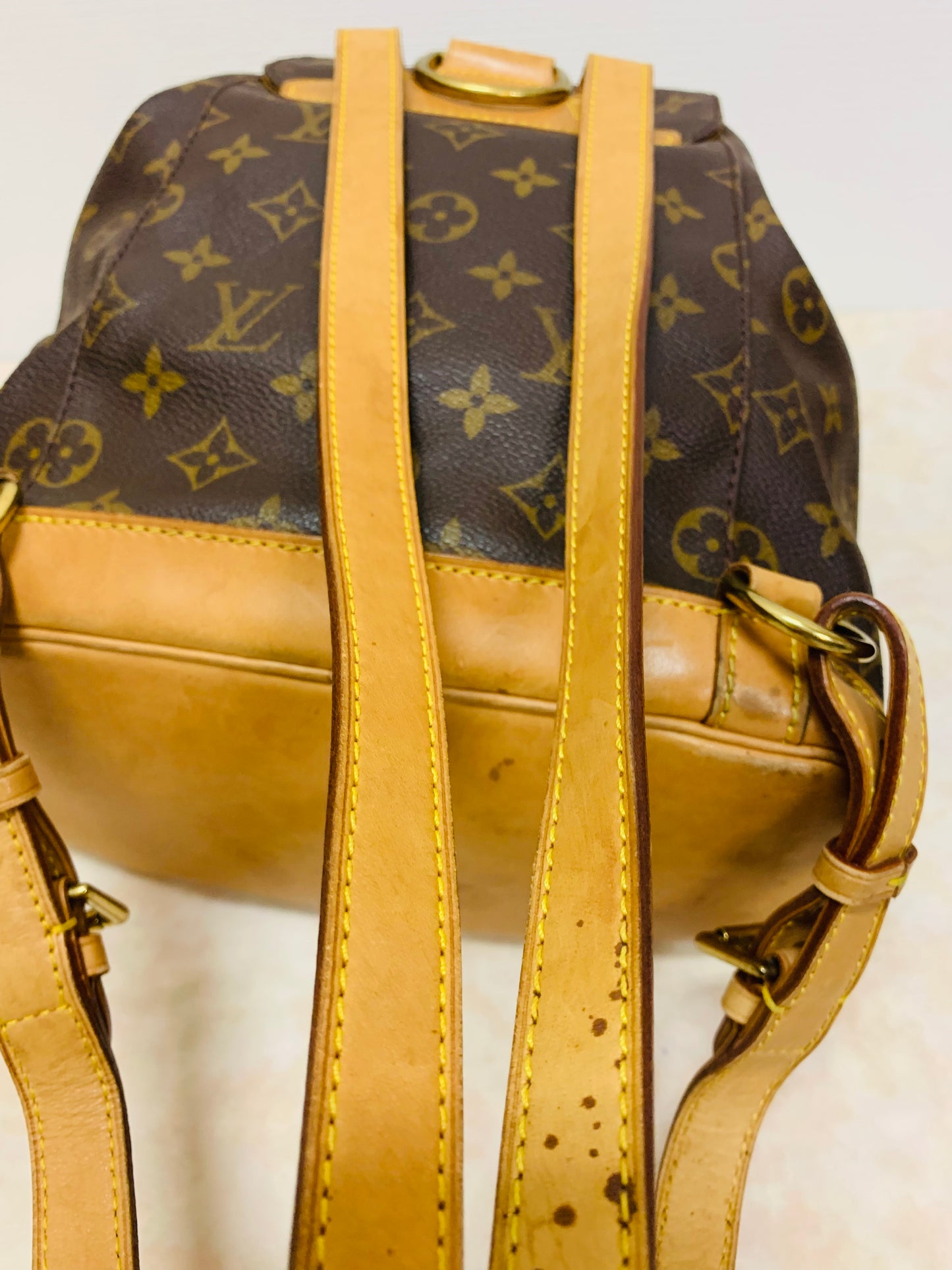 LOUIS VUITTON Montsouris MM Backpack