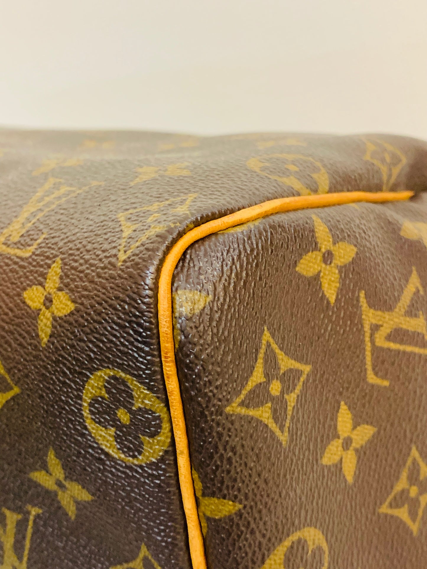 LOUIS VUITTON SPEEDY 25