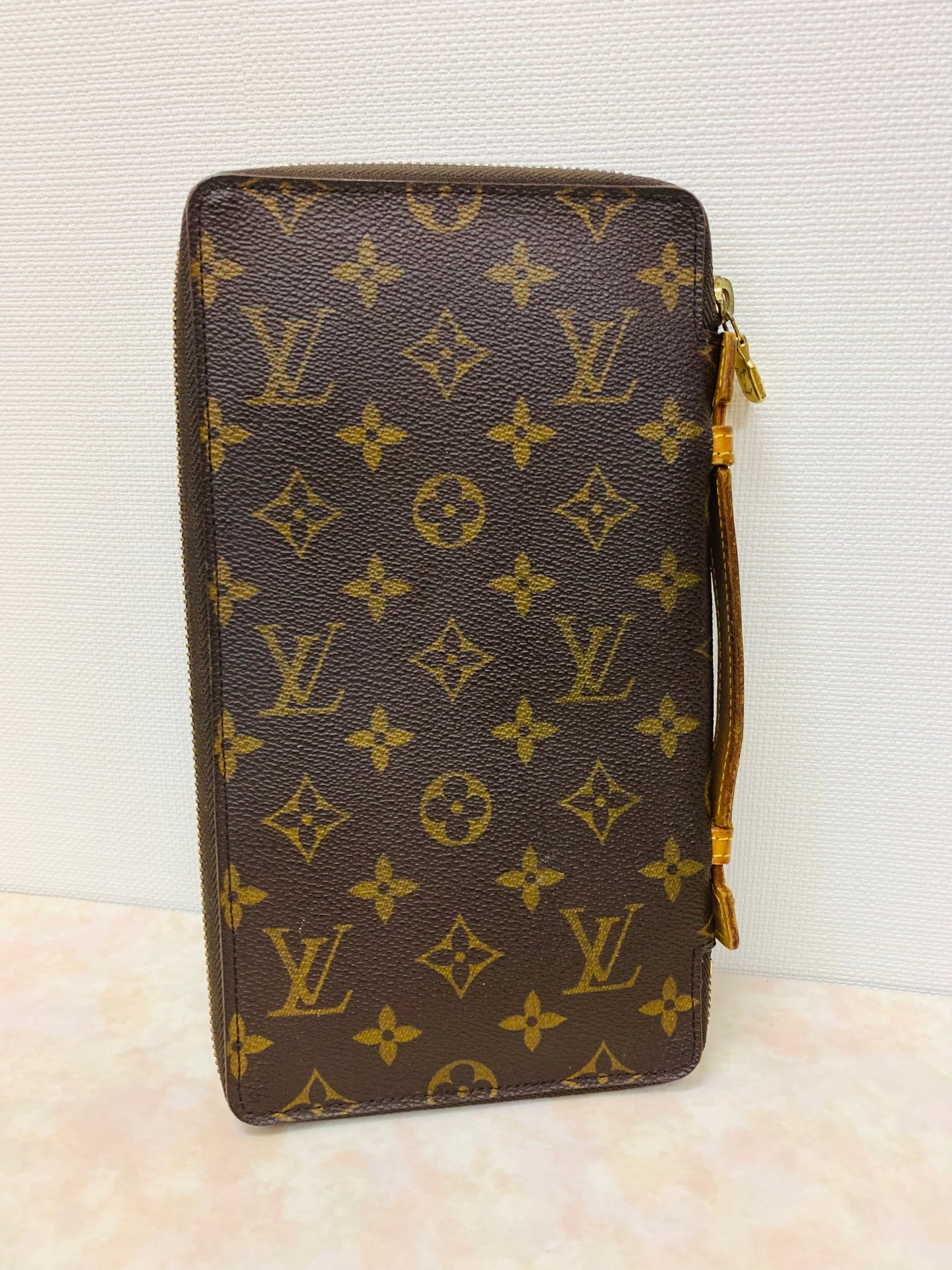 LOUIS VUITTON TRAVEL ORGANIZER