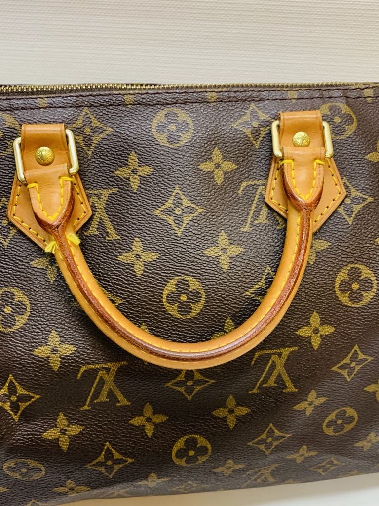 LOUIS VUITTON Speedy 30 Monogram