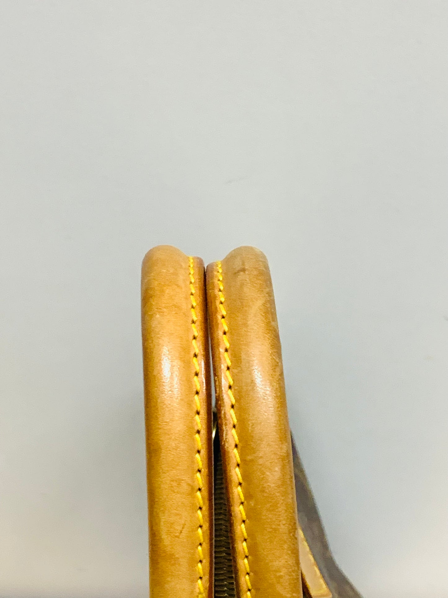 LOUIS VUITTON Alma PM Monogram