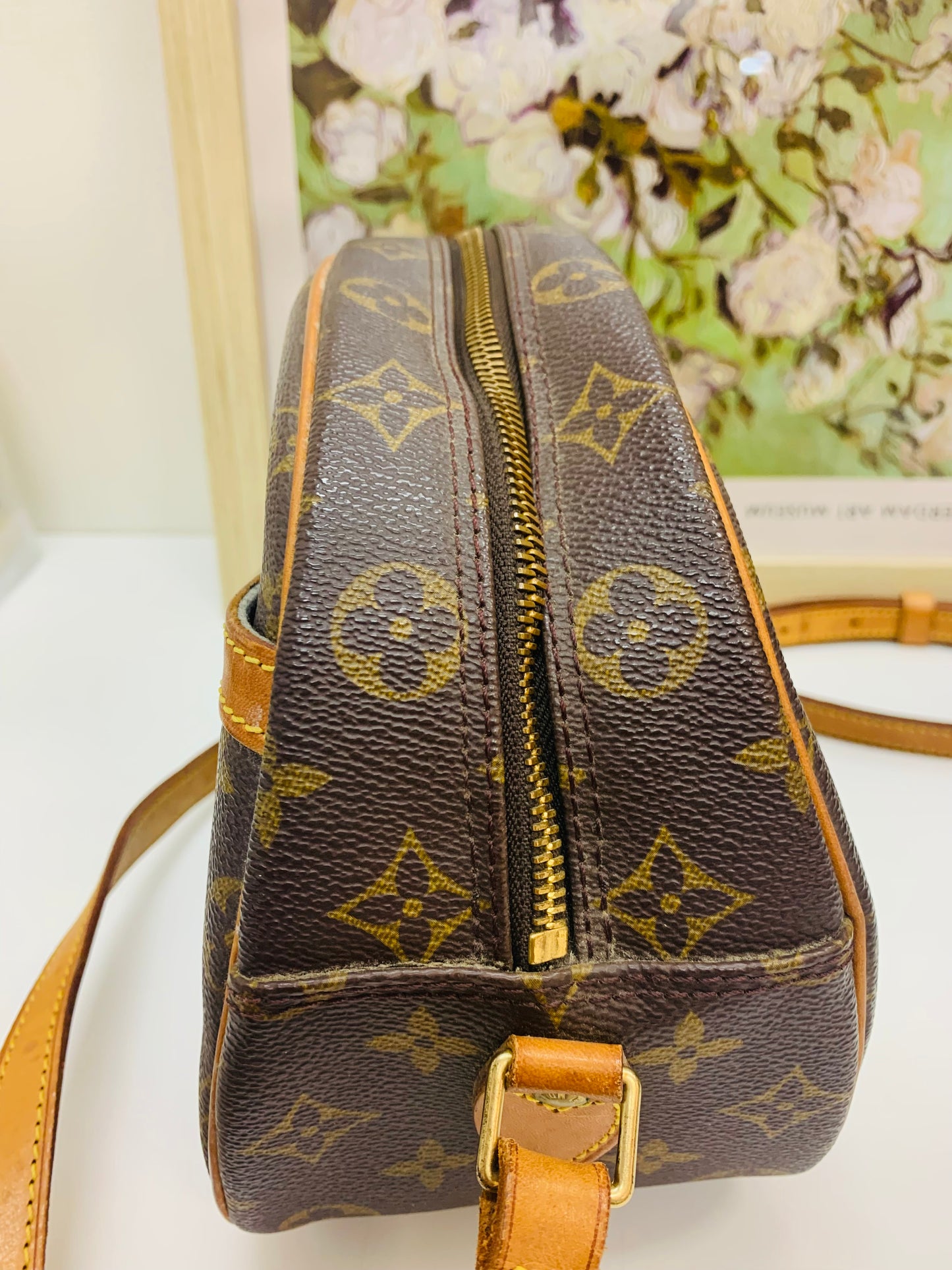 Louis Vuitton Blois Monogram