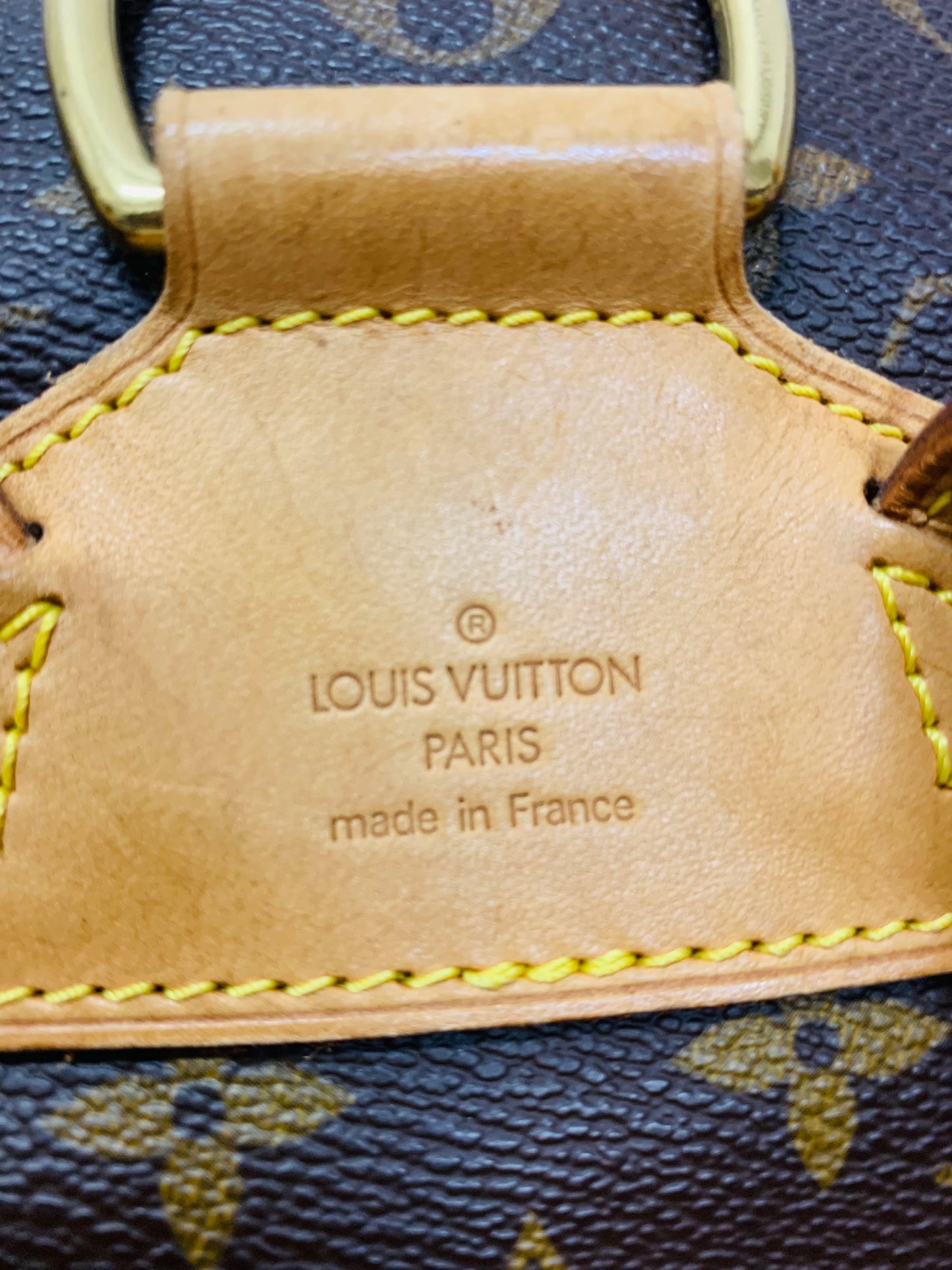 LOUIS VUITTON Montsouris MM Backpack
