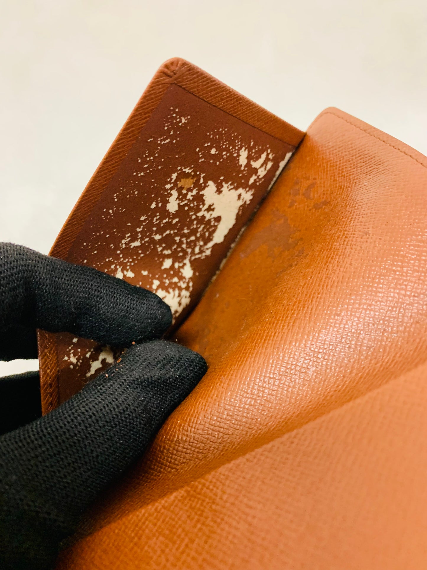 LOUIS VUITTON Passport Case Monogram