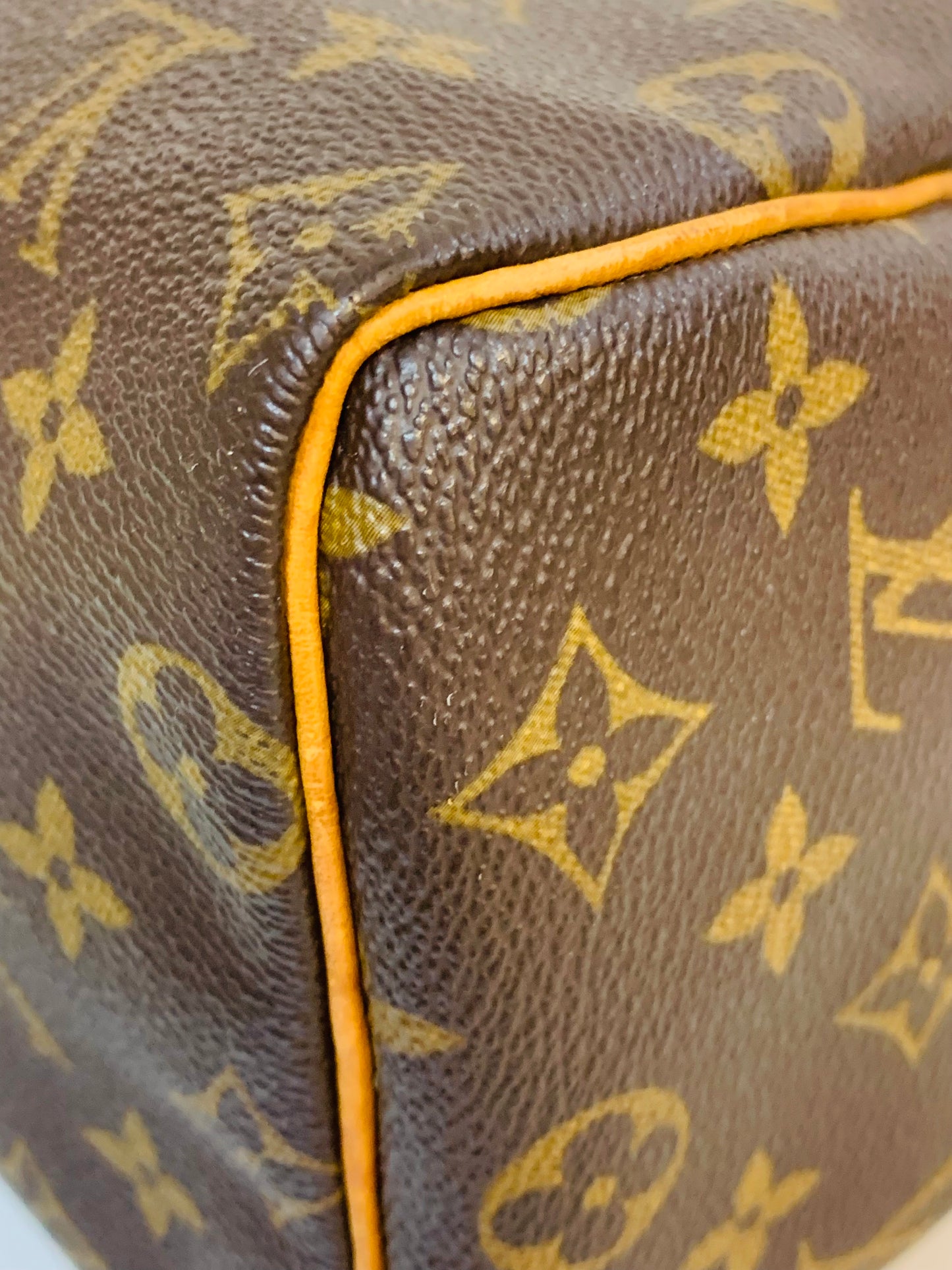 LOUIS VUITTON SPEEDY 25