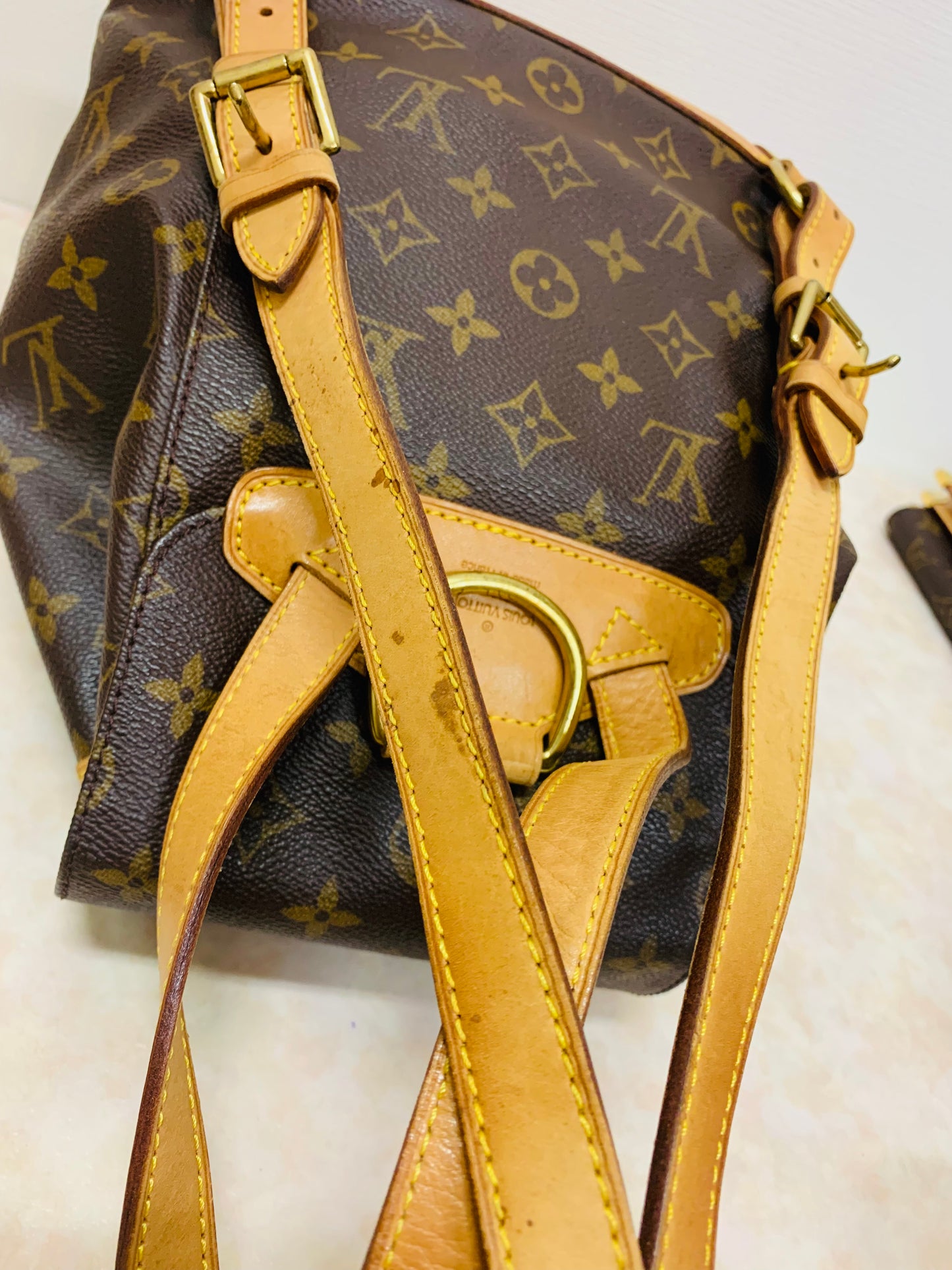 LOUIS VUITTON Montsouris MM Backpack