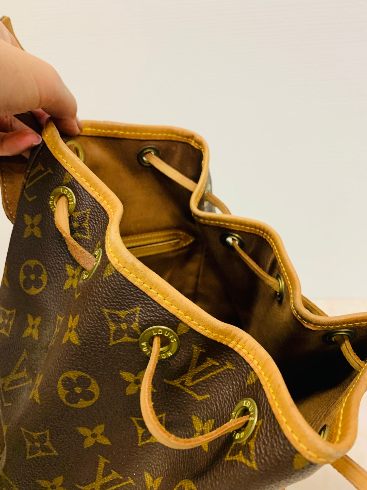 LOUIS VUITTON Montsouris MM Backpack