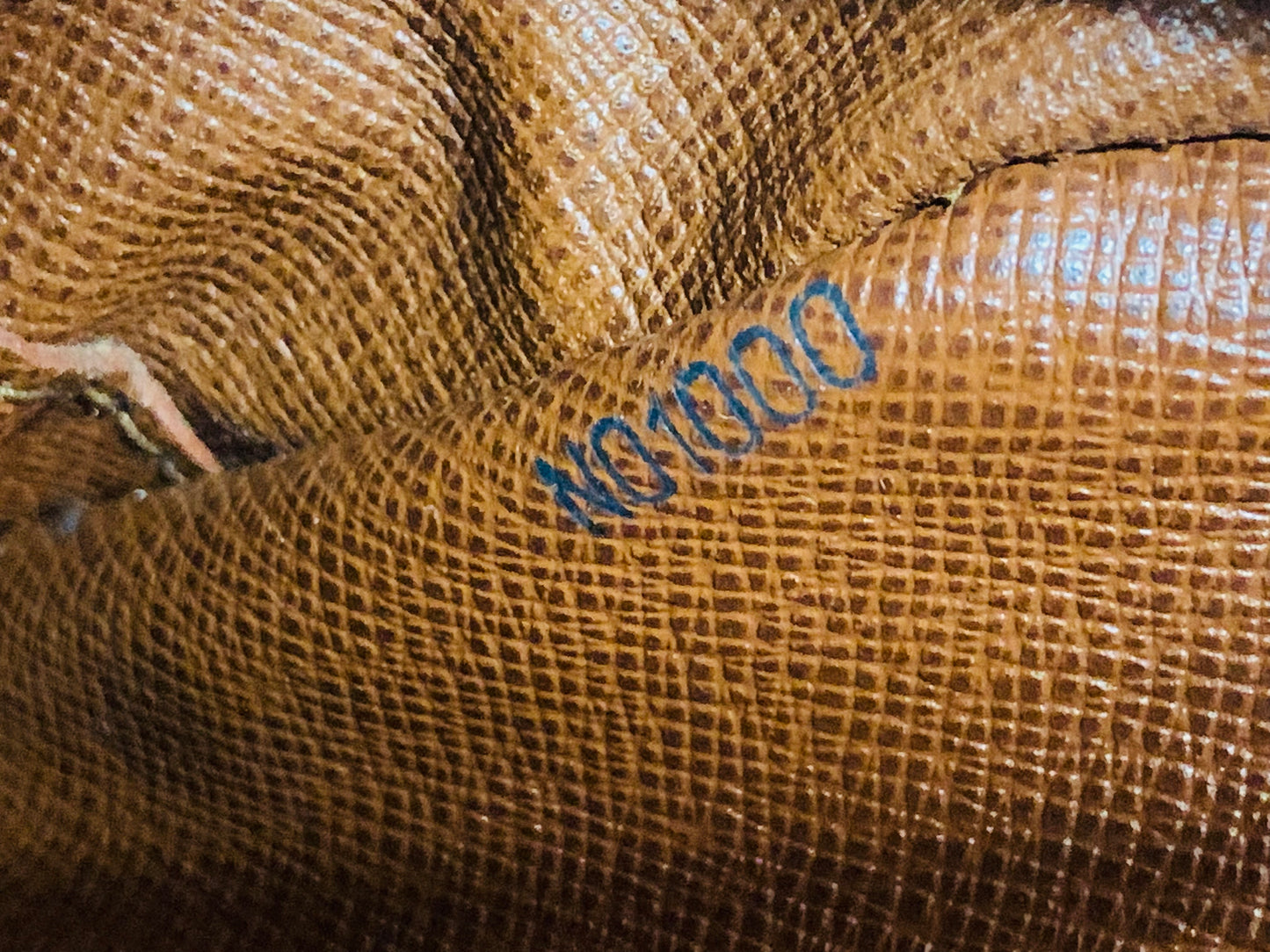 Louis Vuitton Blois (used)