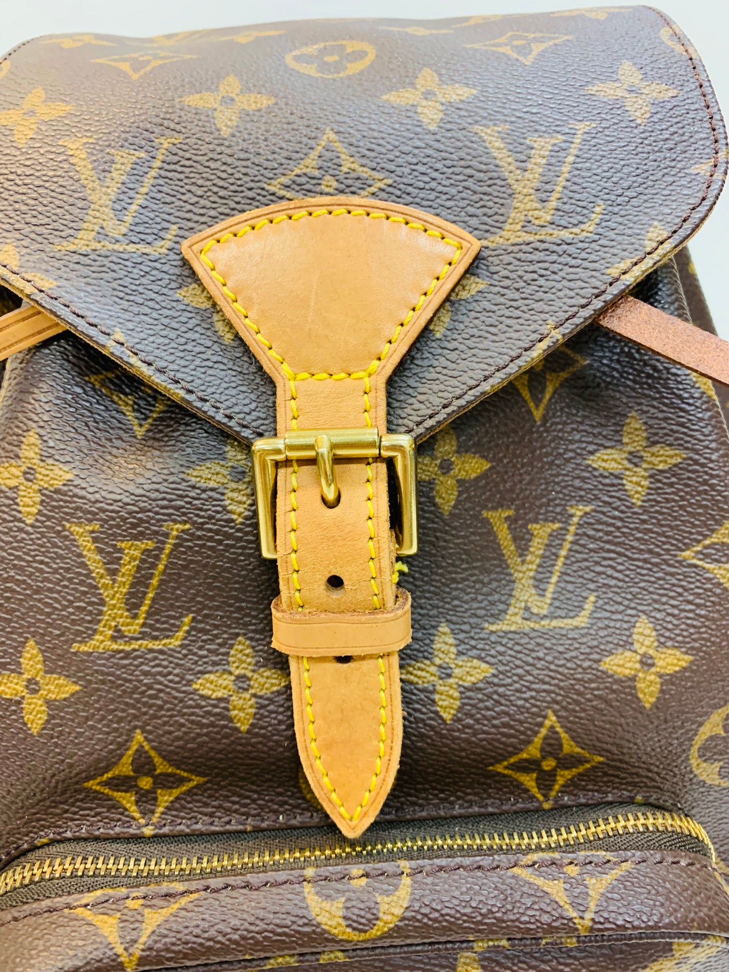 LOUIS VUITTON Montsouris MM Monogram