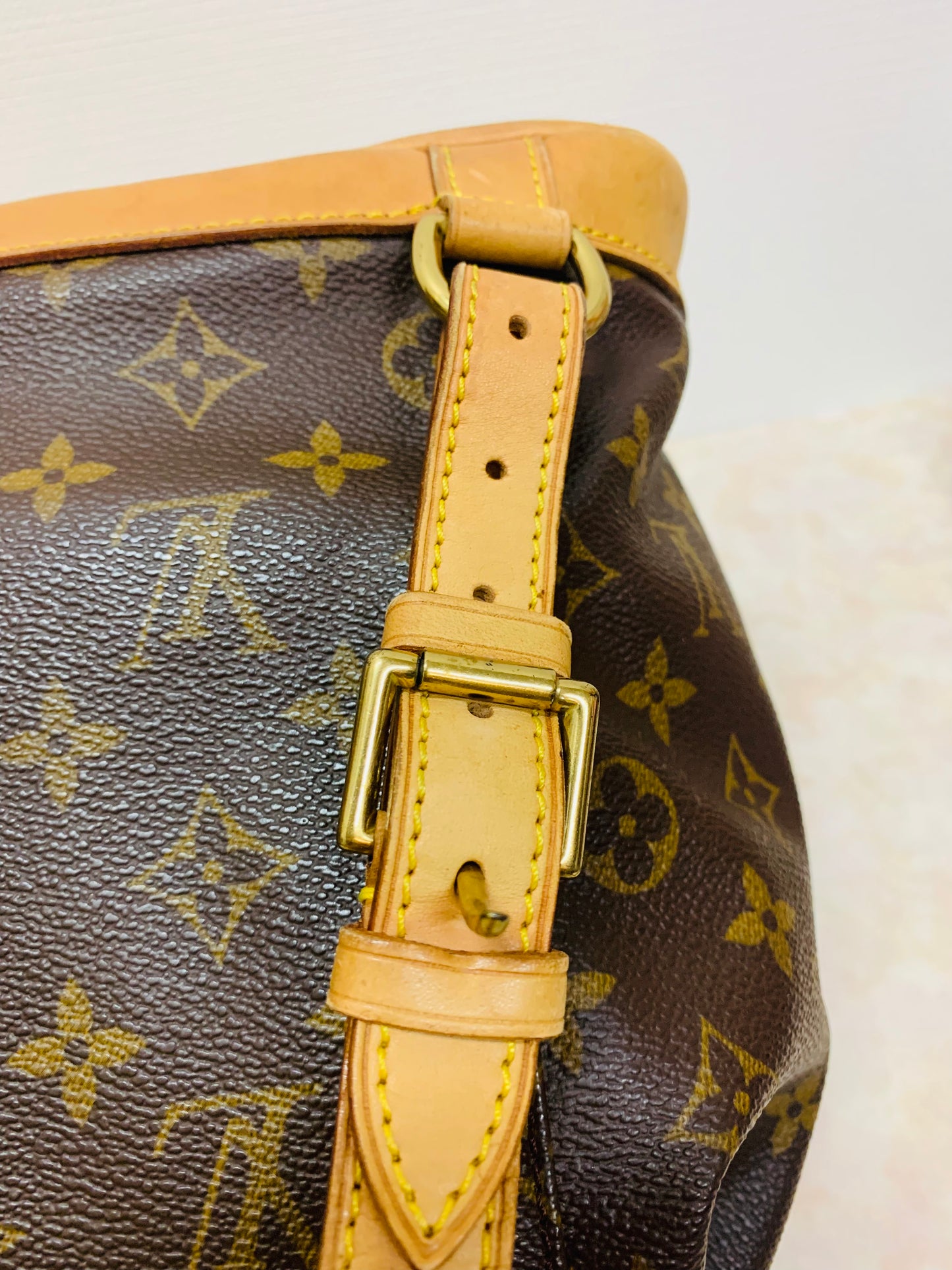 LOUIS VUITTON Montsouris MM Backpack