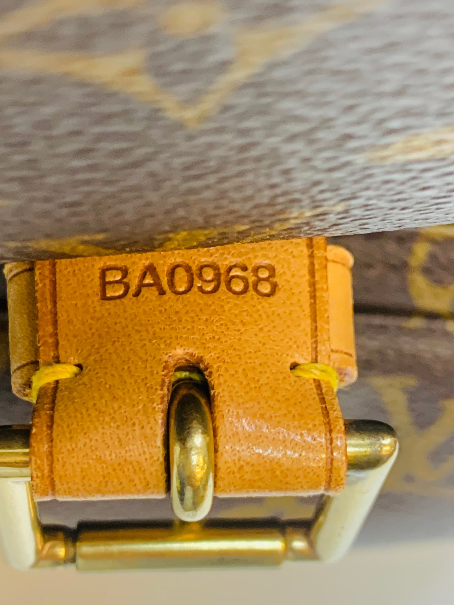 Louis Vuitton Montsouris GM