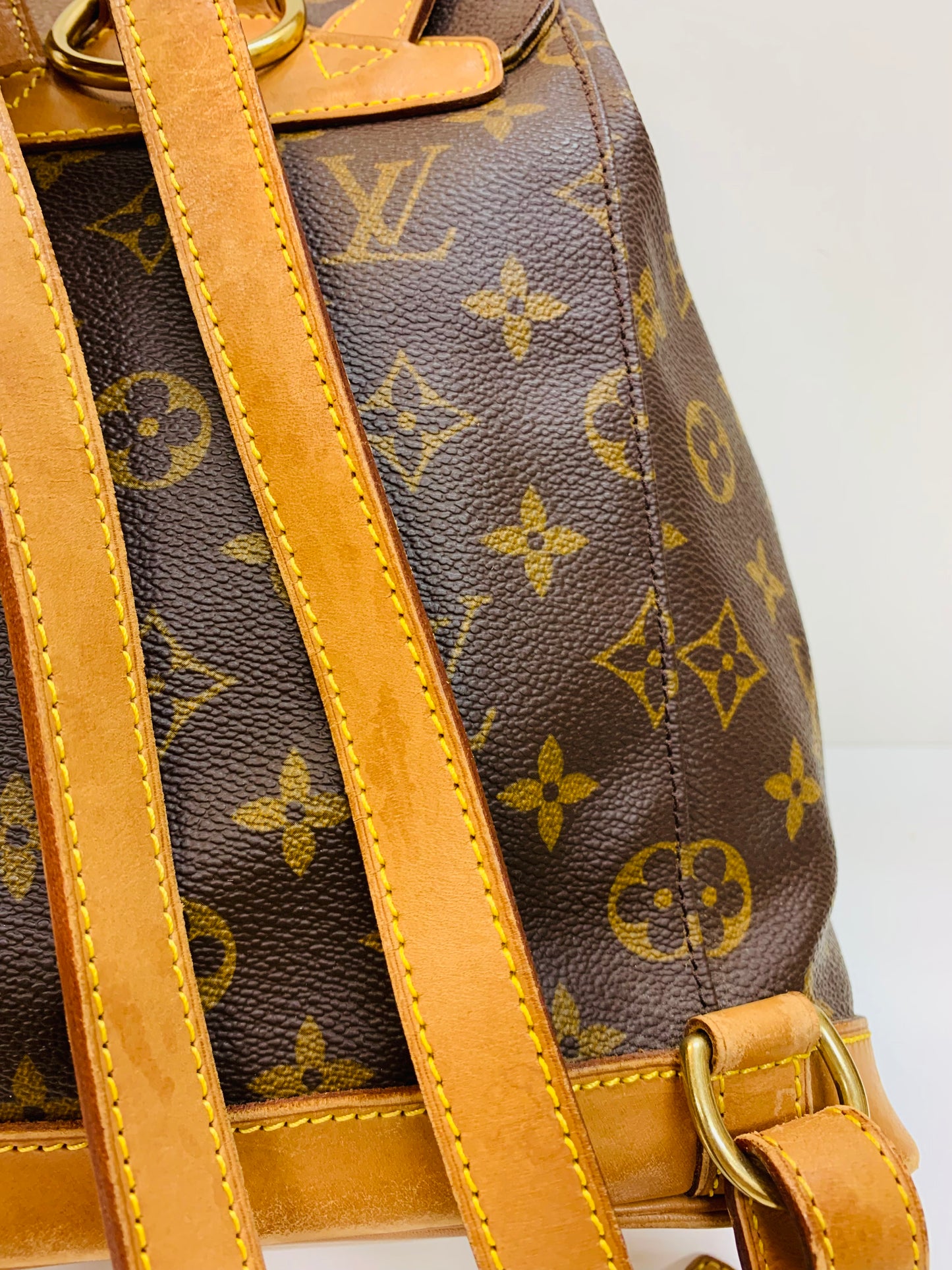 LOUIS VUITTON Montsouris MM Monogram