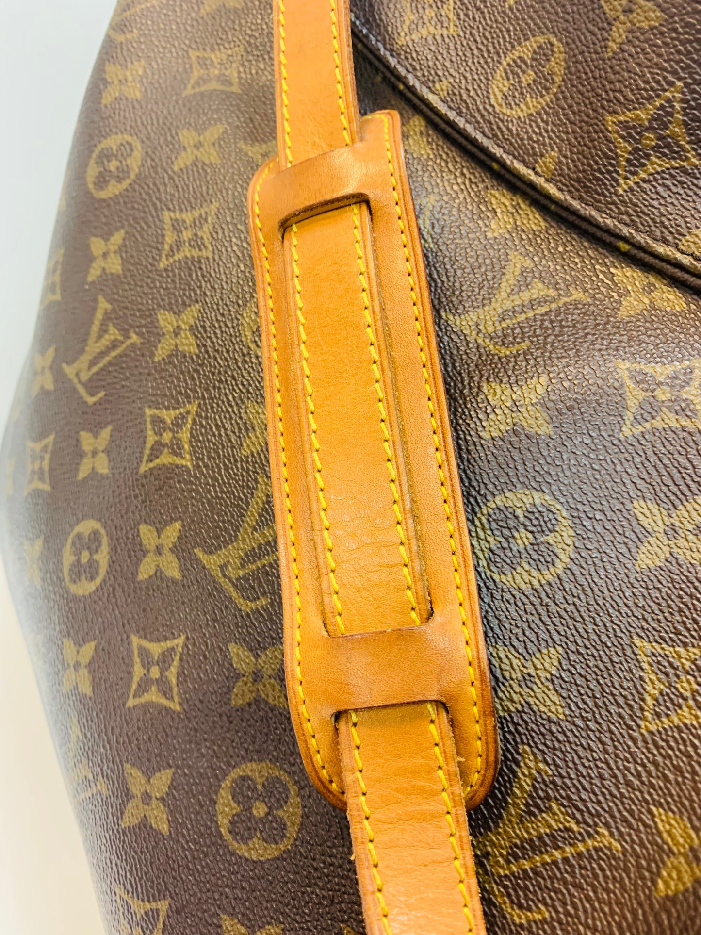 Louis Vuitton Boulogne 50