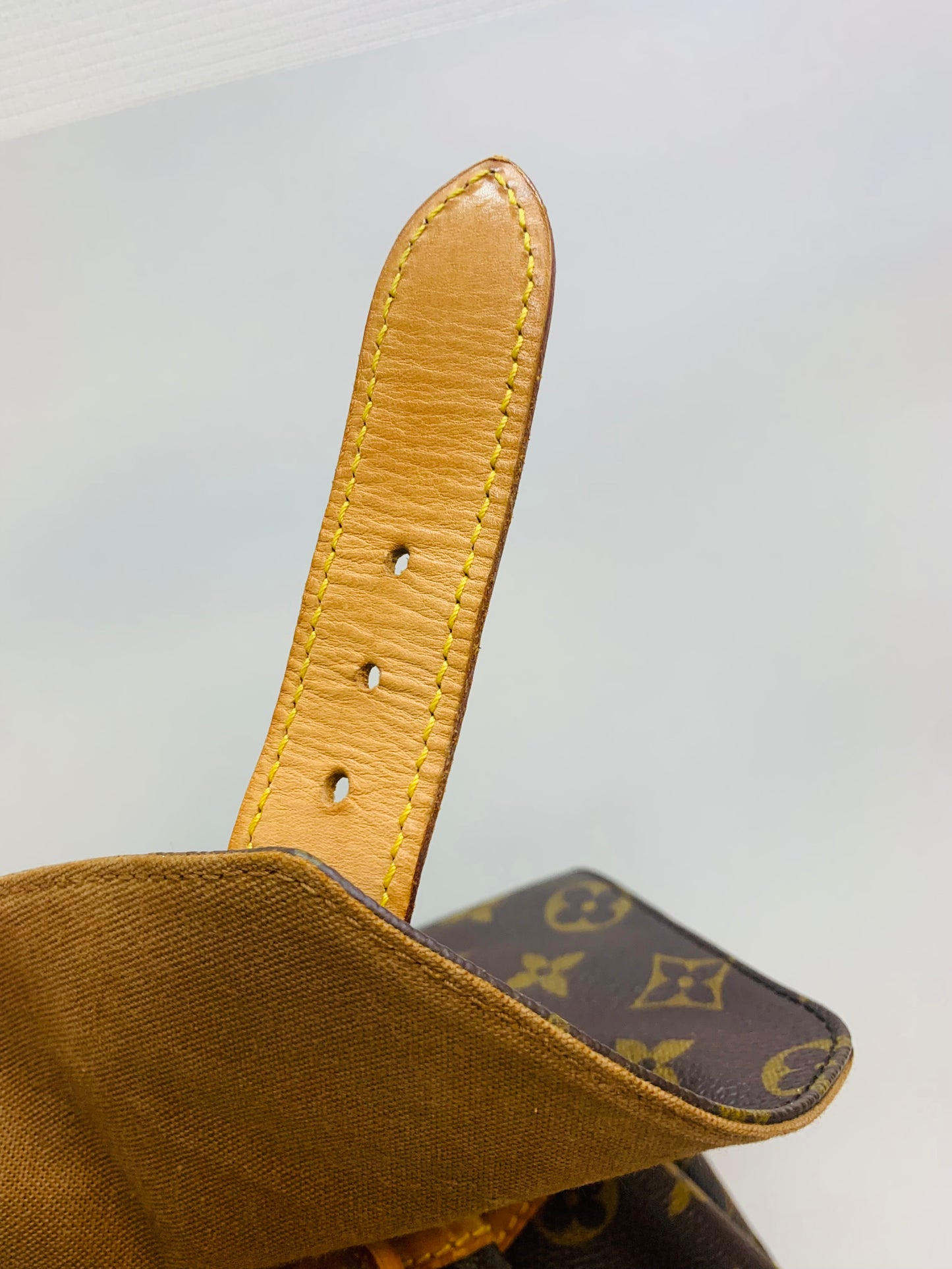 Louis Vuitton Montsouris GM