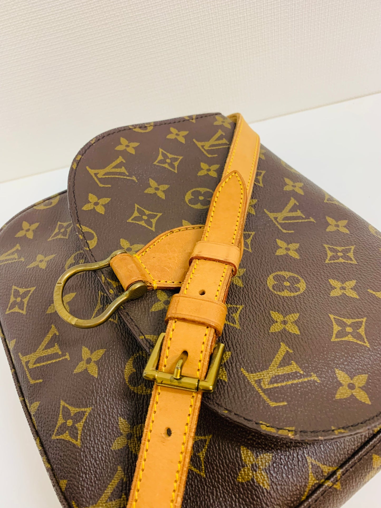 LOUIS VUITTON SAINT CLOUD GM