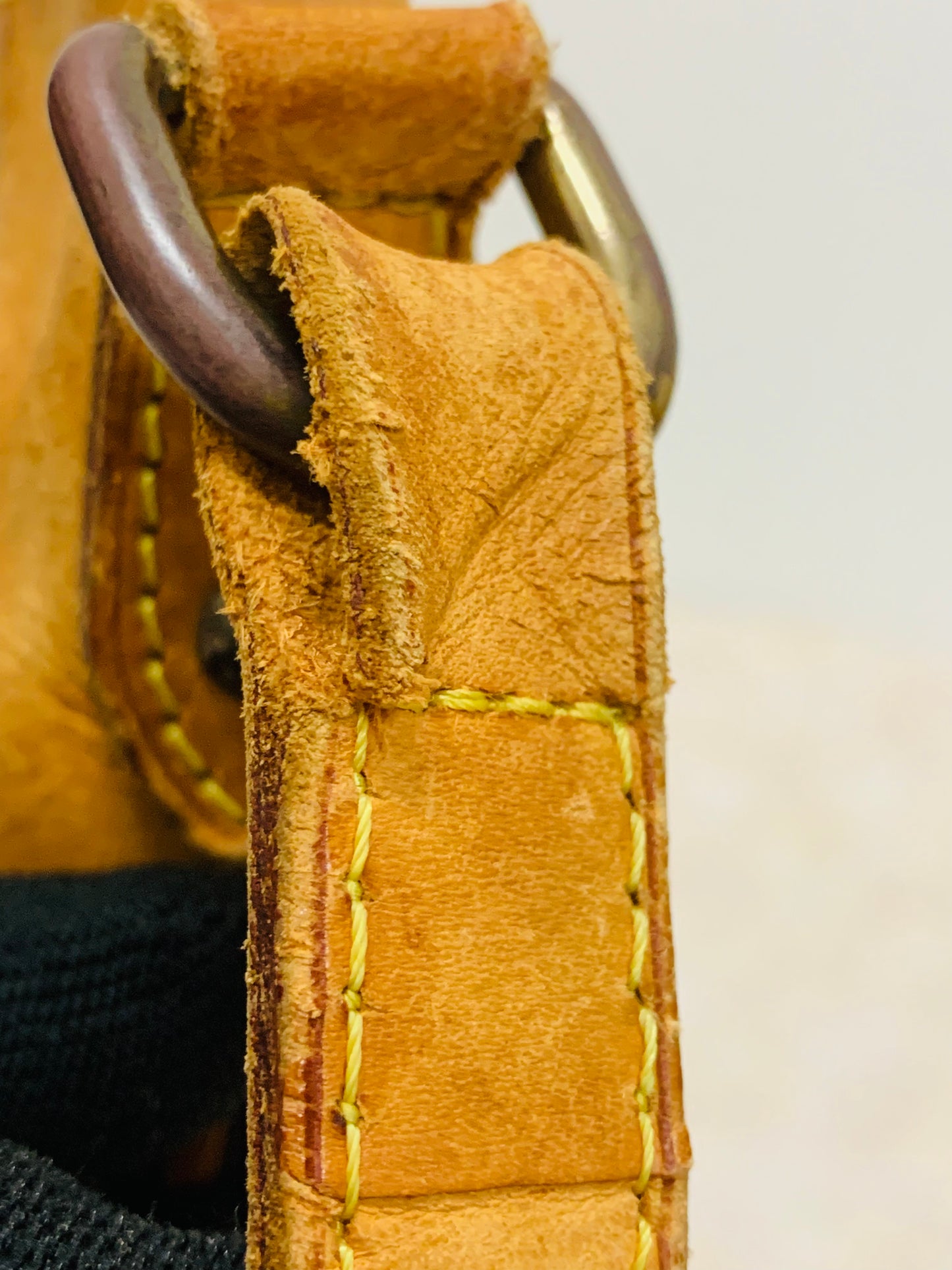 LOUIS VUITTON ODEON PM